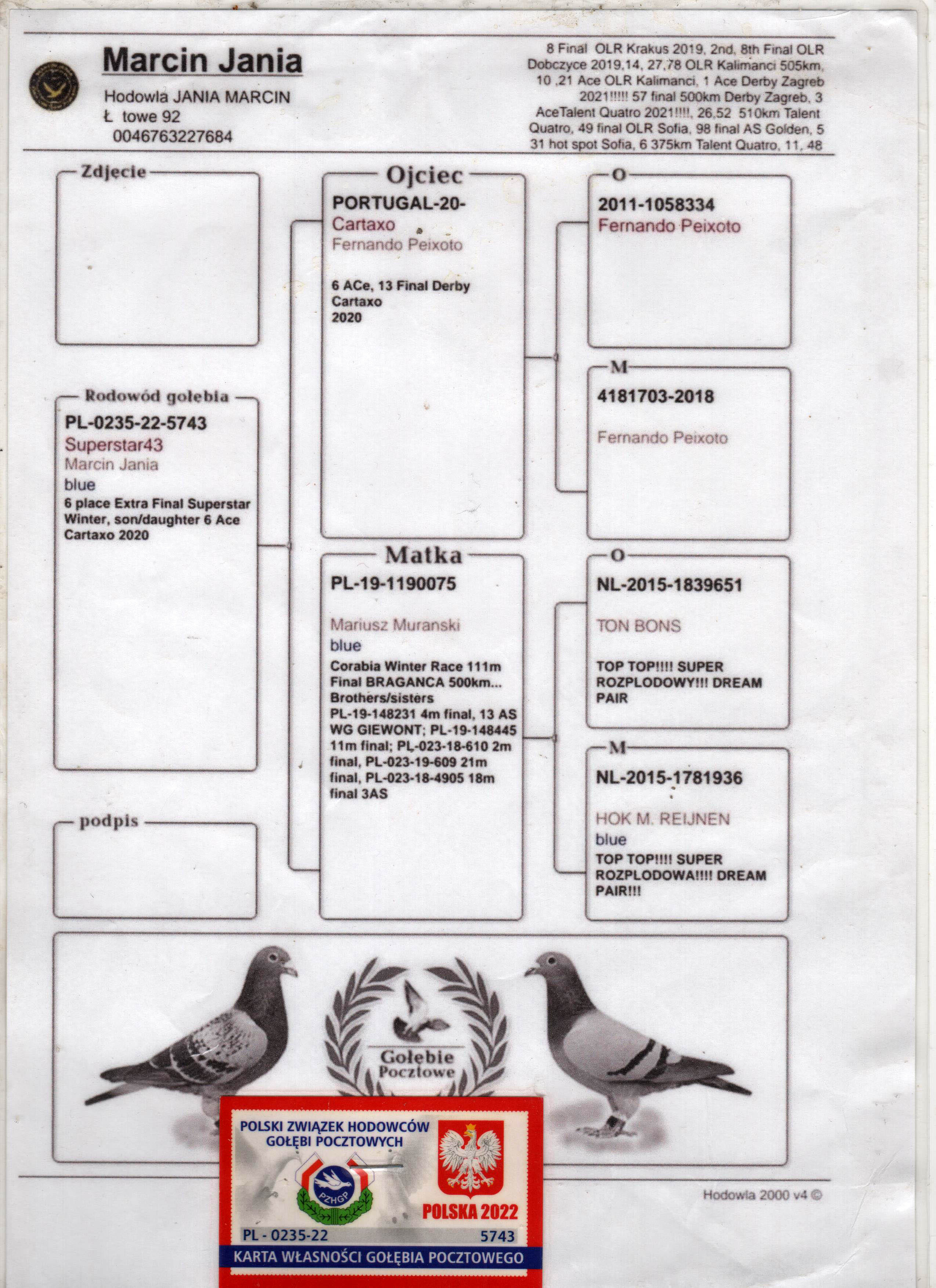 PL0235-22-5743  ERKEK / KENDİSİ 6 EXTRA FİNAL SUPERSTAR & 6 ACE PİGEON