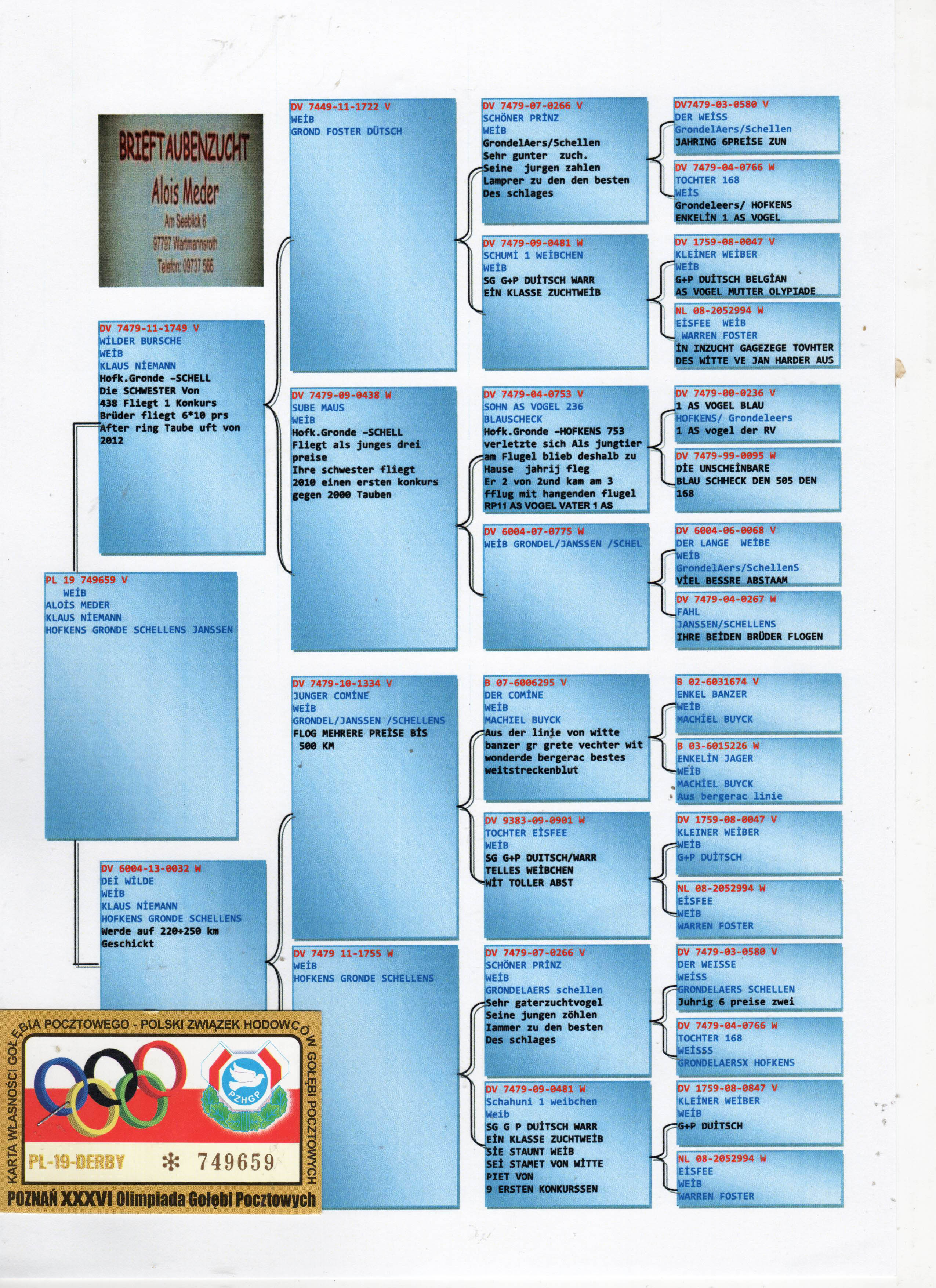 PL19-749659 ERKEK/ HOFKENS - SCHELLENS - GRONDELAERS