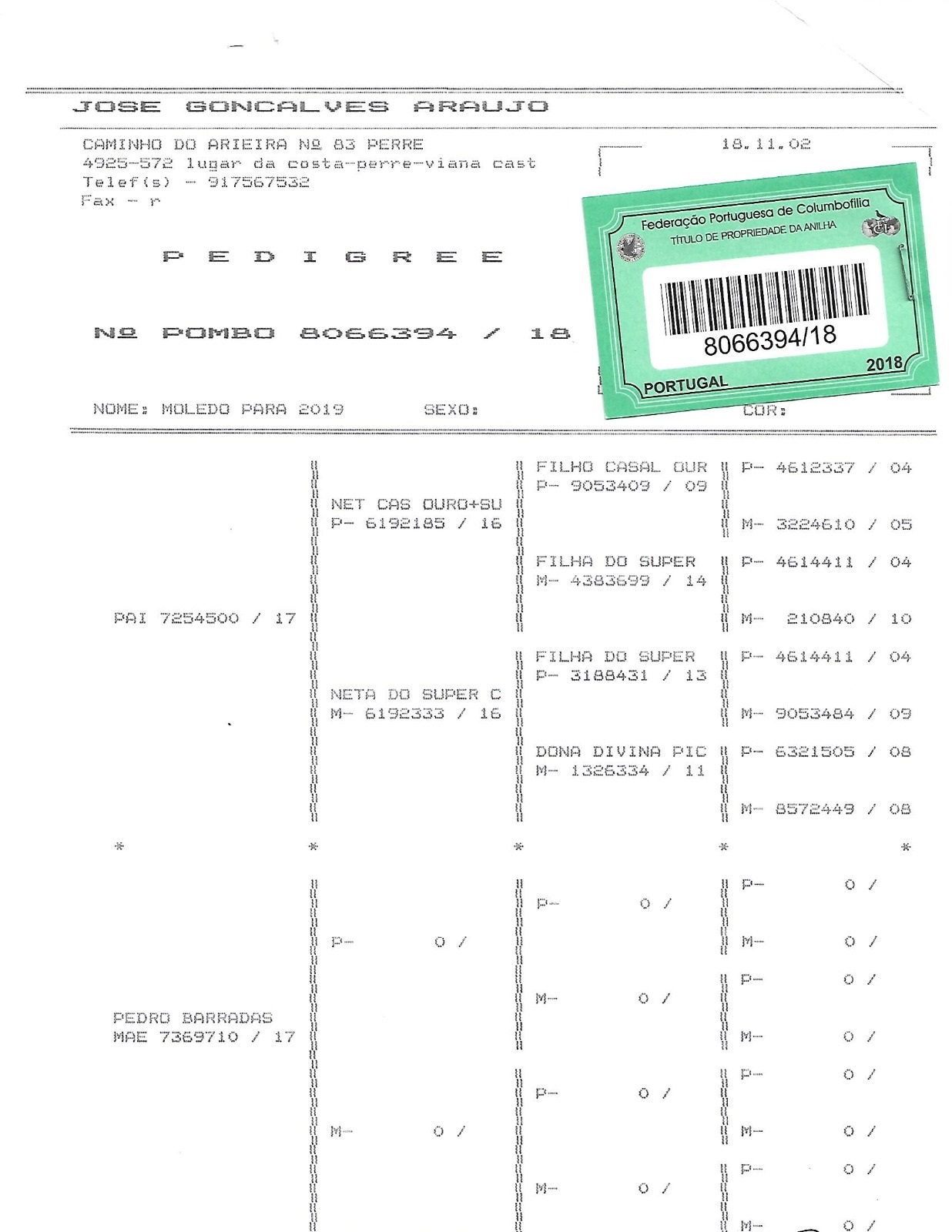 PT18-8066394 ERKEK / KENDİSİ 2. ACE PİGEON MOLEDO YEARLİNG CHAM