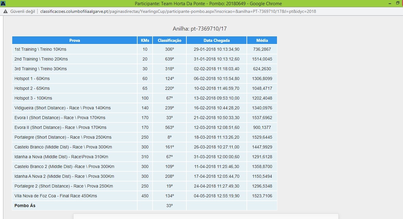 PT18-8066394 ERKEK / KENDİSİ 2. ACE PİGEON MOLEDO YEARLİNG CHAM