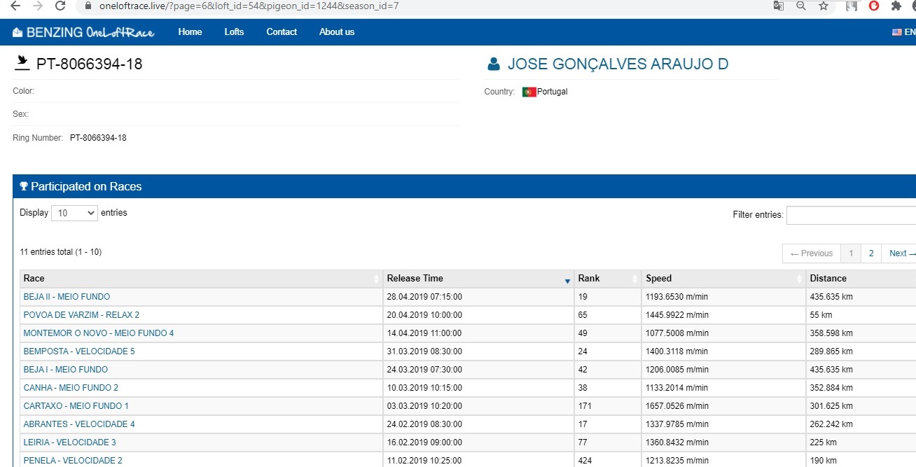 PT18-8066394 ERKEK / KENDİSİ 2. ACE PİGEON MOLEDO YEARLİNG CHAM