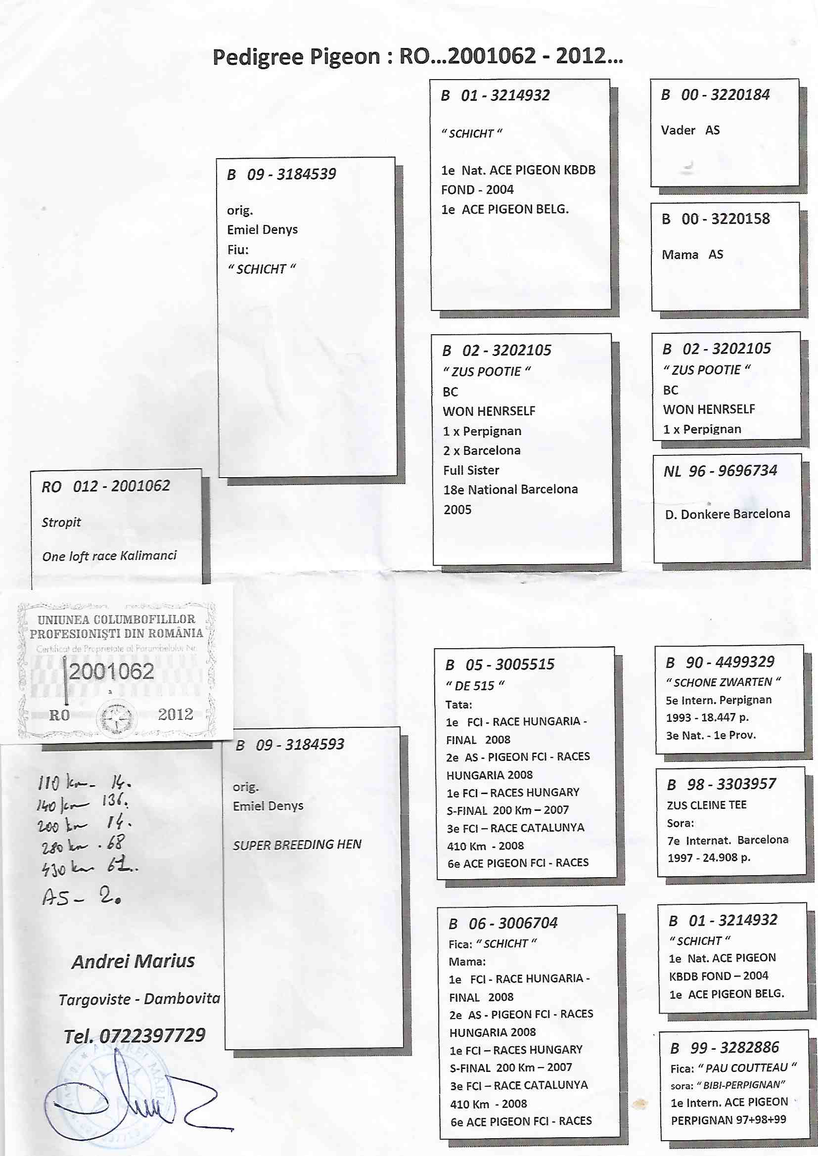 RO12-2001062 ERKEK / KENDİSİ KALİMANCİ AS 2  -  EMIEL DENYS % 100  MARATON 