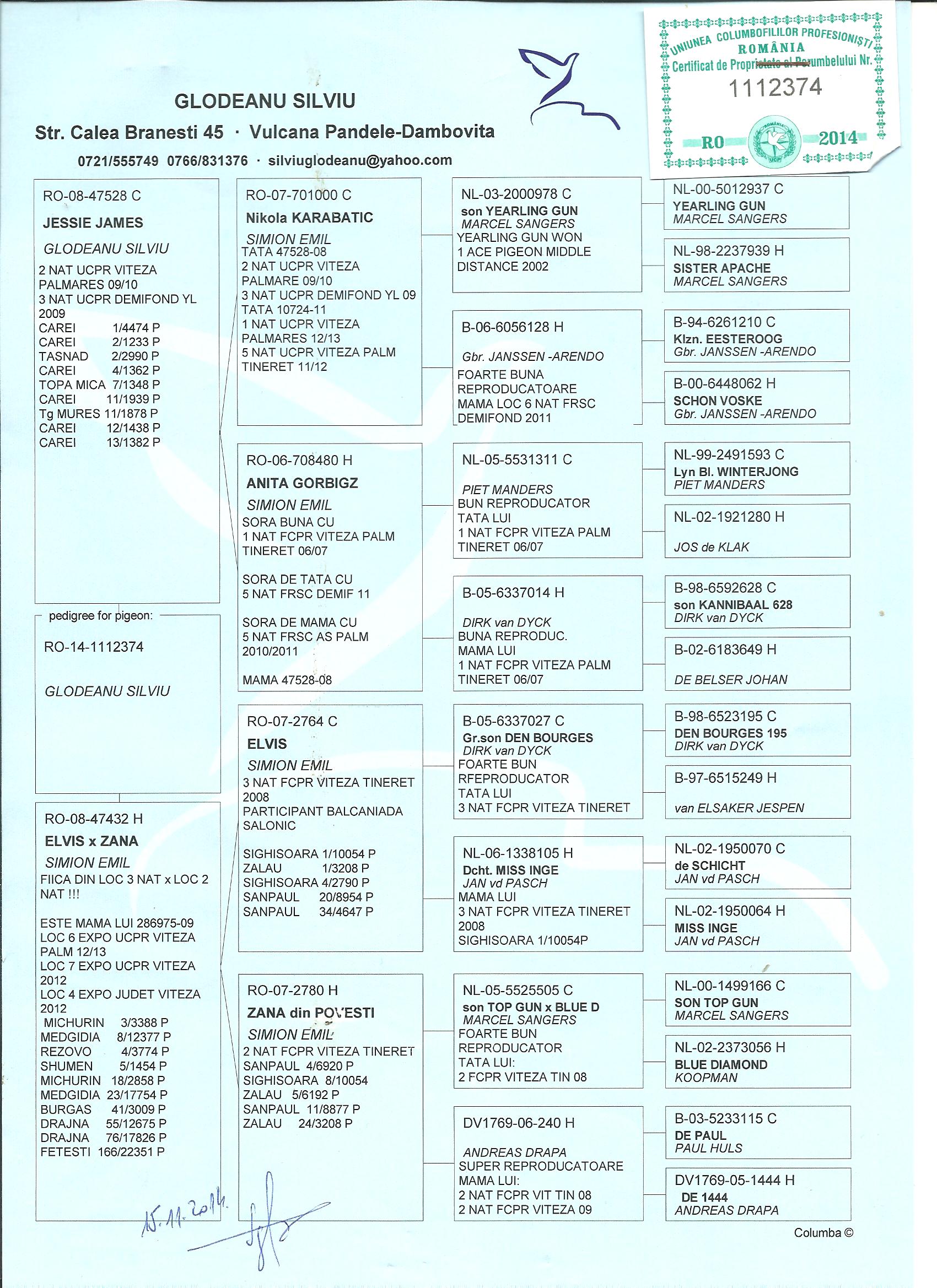 RO14-1112374 ERKEK /  BABADAN KARDES 4. EXTO JUDET VİTES PALM 2012