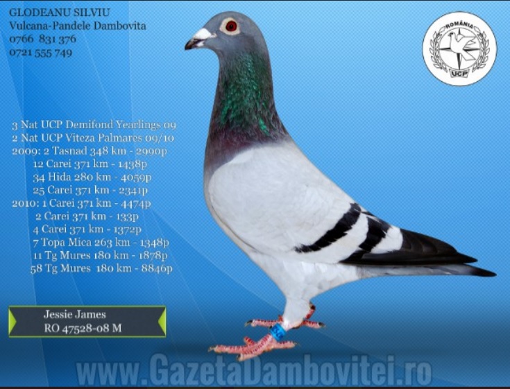 RO14-1112374 ERKEK /  BABADAN KARDES 4. EXTO JUDET VİTES PALM 2012