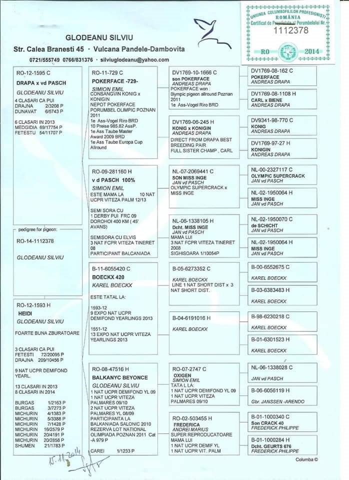 RO14-1112378 EKEK / BABASI DRAPA - J.V. PASCH ANNESİ  9. NAT UCPR DEMIFOND