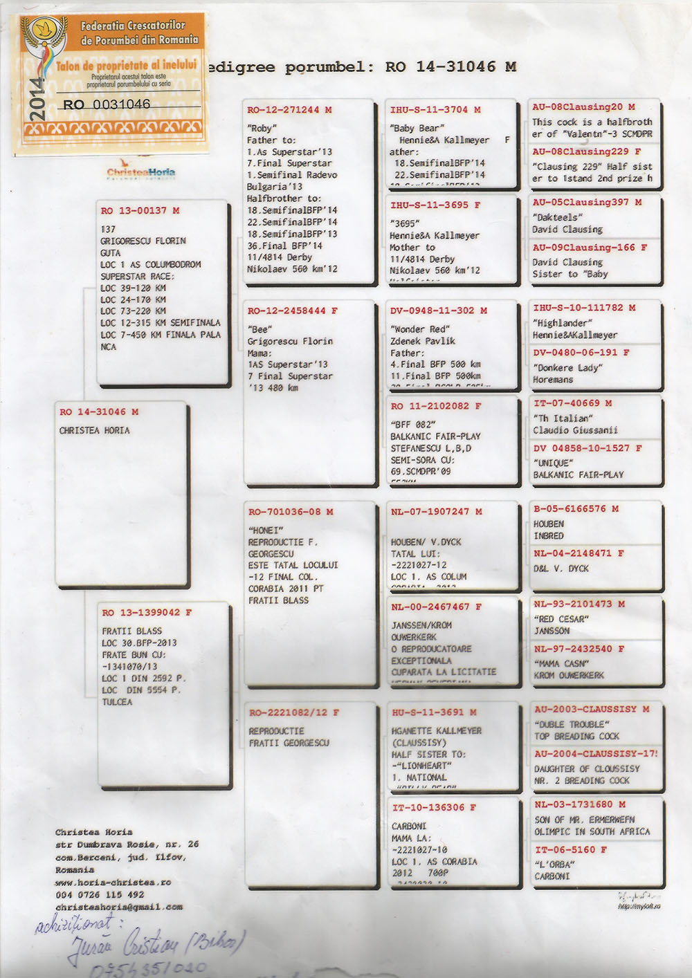 RO14-31046 ERKEK /  BABASI 1 AS GÜV SÜPERSTAR  ANNESİ 30. FİNAL BALKANİC FAİR