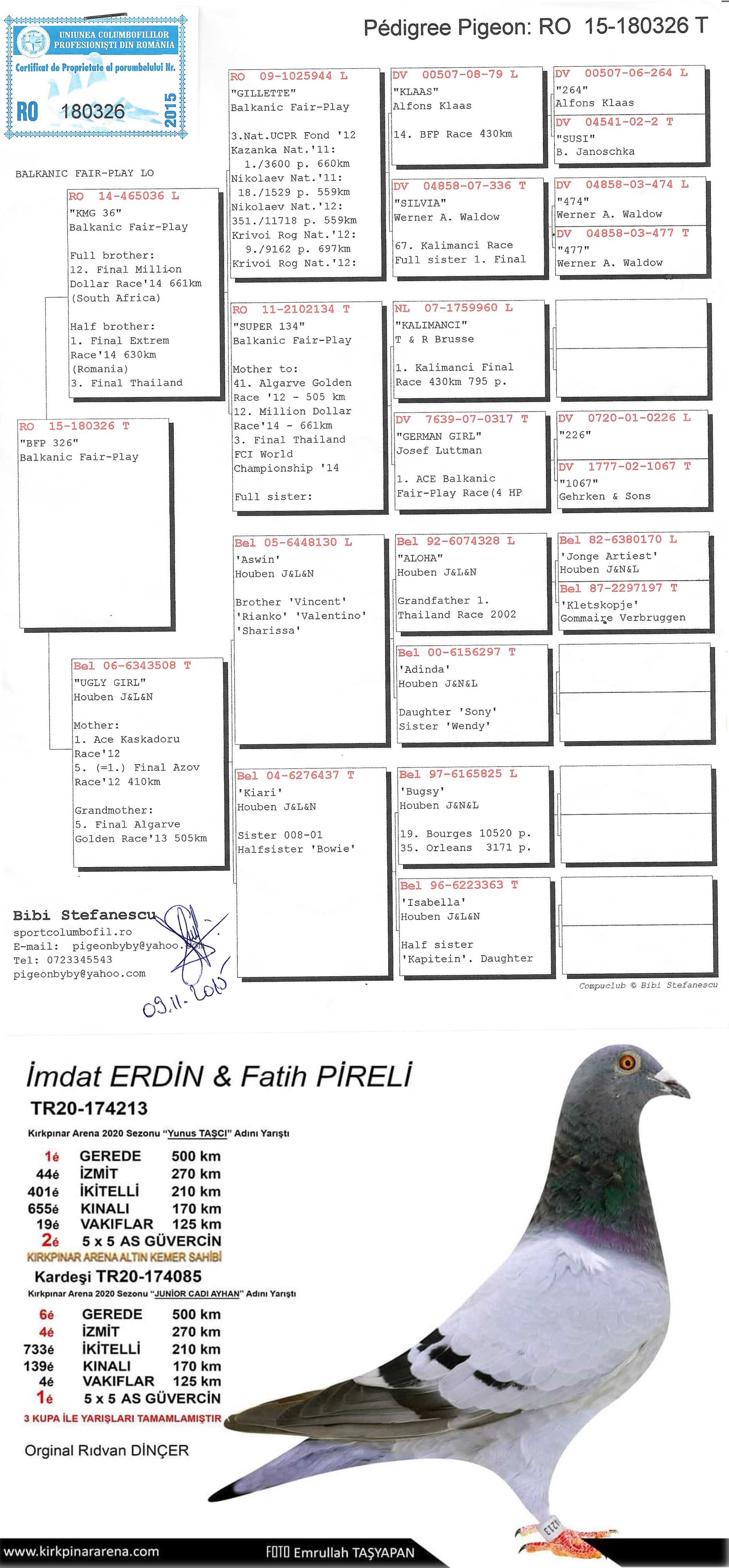 RO15-180336 ERKEK -  RO15-180326 DİŞİ ALTIN TAKIM YAVRULARI 1. FİNAL - 1 AS 