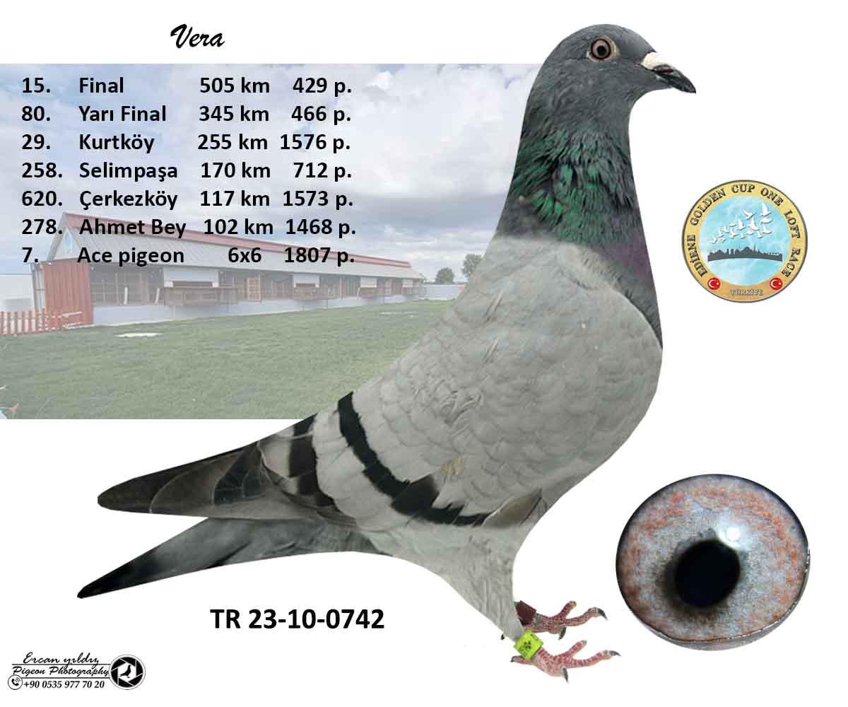 RO16-02214 ERKEK / KENDİSİ YARIŞMIŞTIR 1 SEMİFİNAL & 16 FİNAL RACE OLR 