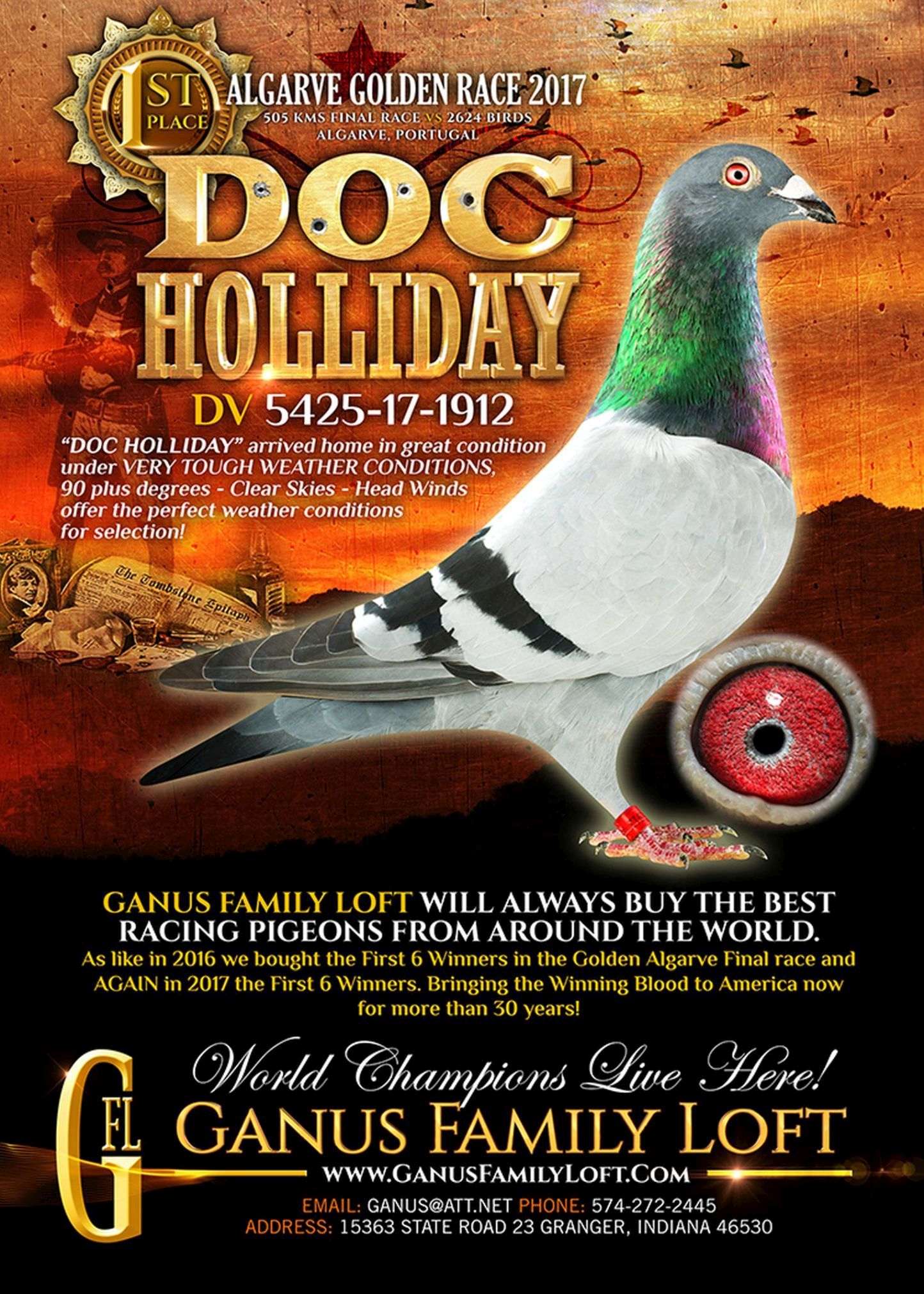 RO17-412965 DİŞİ / ANNESİ DOC HOLIDAYIN HALASI - DOC HOLIDAY 1. FNAL ALGARVE 