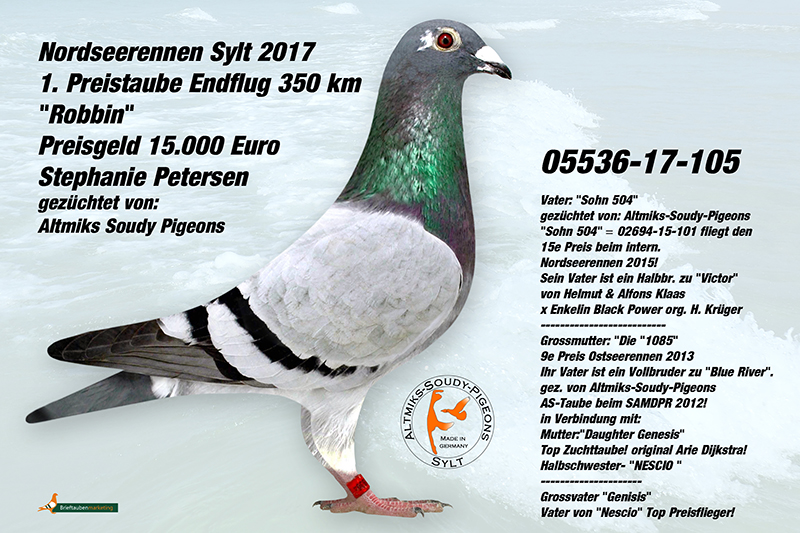 RO18-4044651 DİŞİ / BABASI OLR SYLT ŞAMPİYONU ANNESİ OLR SYLT 2.