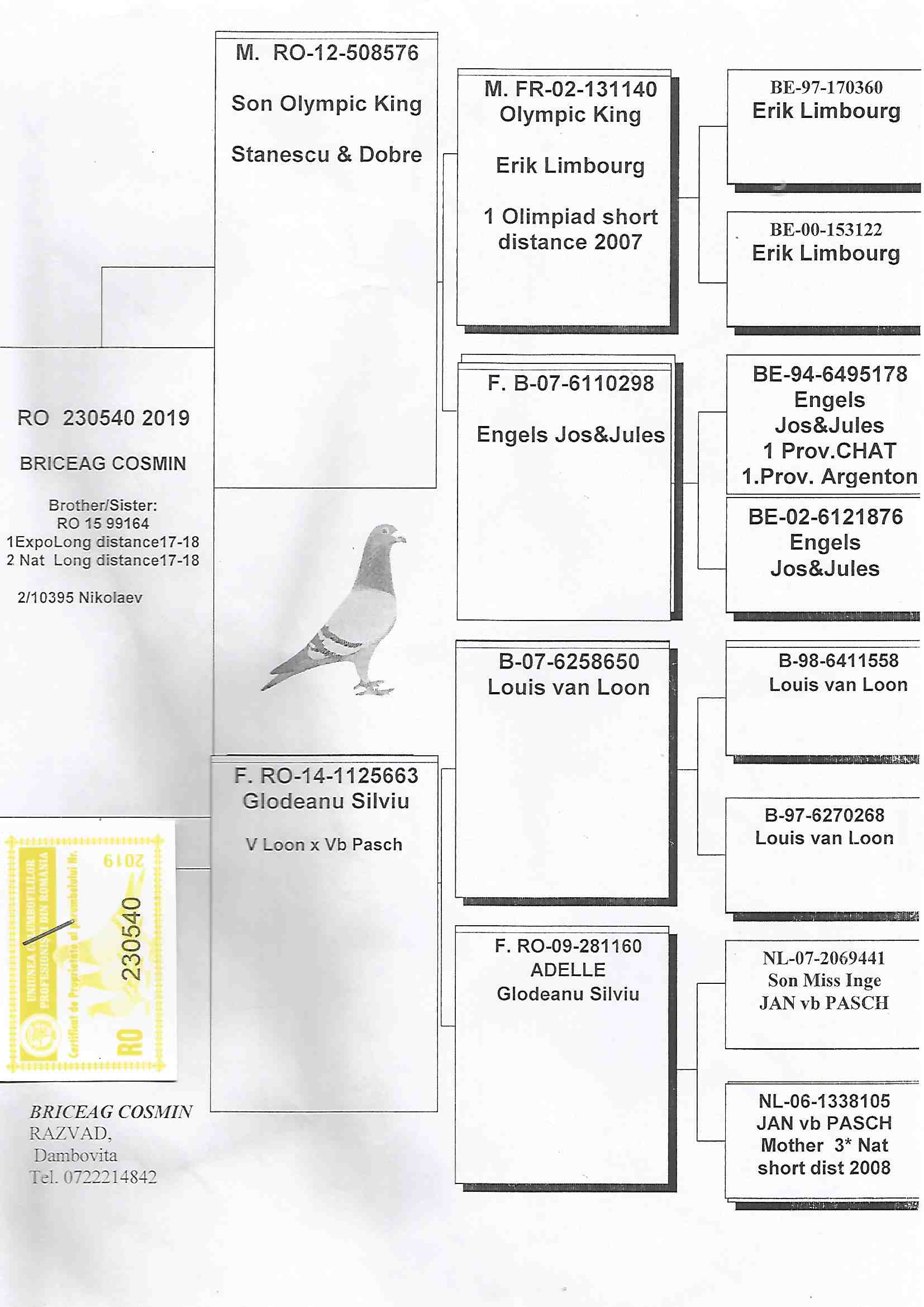 RO19-230540 DİŞİ /  KARDEŞİ  1. EXPO LONG DİSTANCE 2017-2018 MARATON