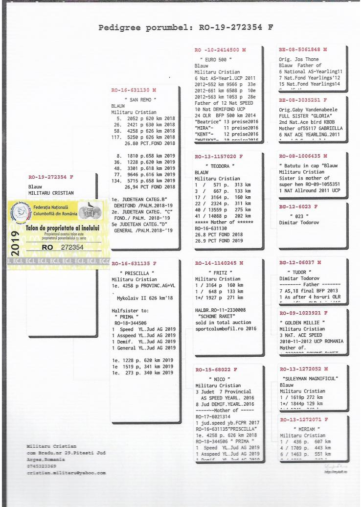 RO19-272354 DİŞİ / ORJ MILITRU CRISTIAN