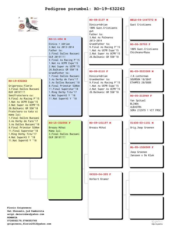 RO19-632262 DİŞİ / 3. FİNAL OLR BUCSANİ 2019