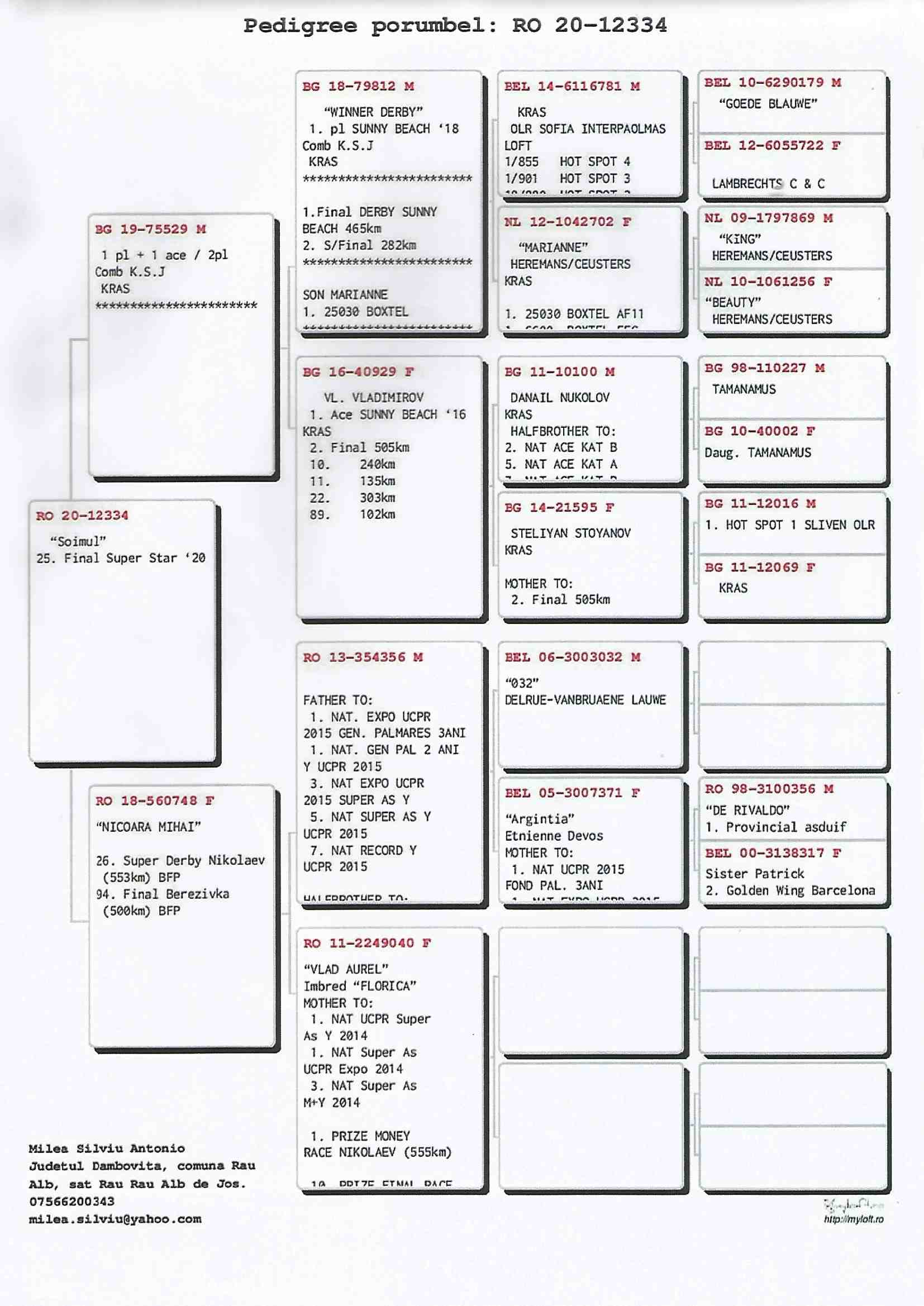 RO20-012334 ERKEK / 25. FİNAL RACE OLR SÜPERSTAR OLR 2020