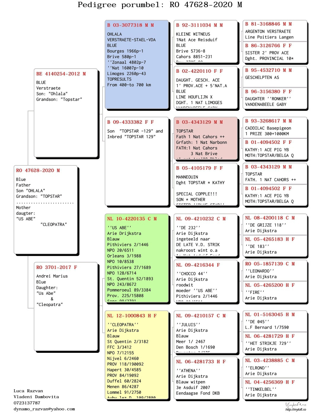 RO20-047628 ERKEK / BABASI RAOUL VESTRAETE OHLALA OGLU ANNESİ ARIE DIJKSTRA 