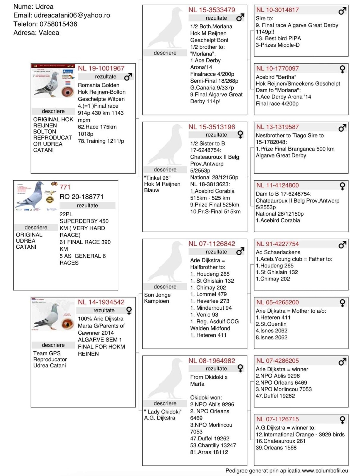RO20-188771  DİŞİ  / KENDİSİ  5. AS G&Uuml;VERCİN 6 ETAP - 22. S&Uuml;PER DERBY
