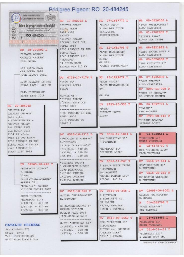 RO20-484245 DİŞİ / BABASI 1 FİNAL SOFİA OLR 