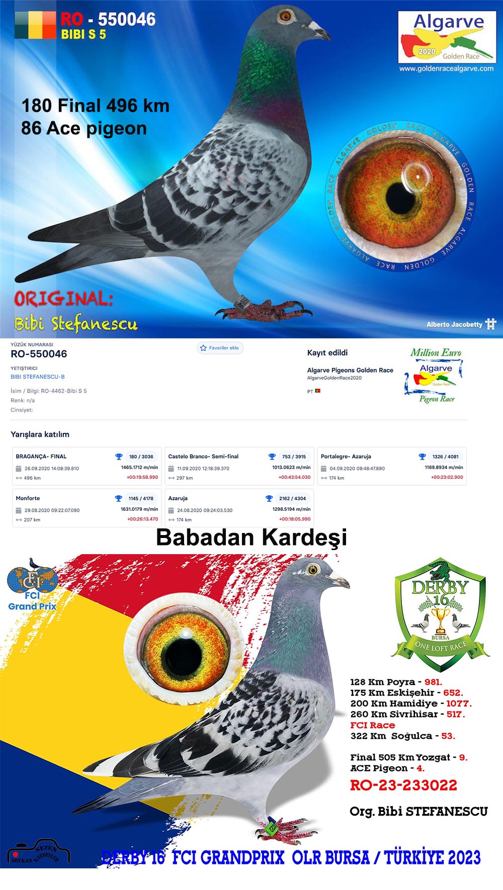 RO20-550046 ERKEK / MESSI GILLTTE - KENDİSİ 180 FİNAL ALGARVE GOLDEN RACE 496 KM