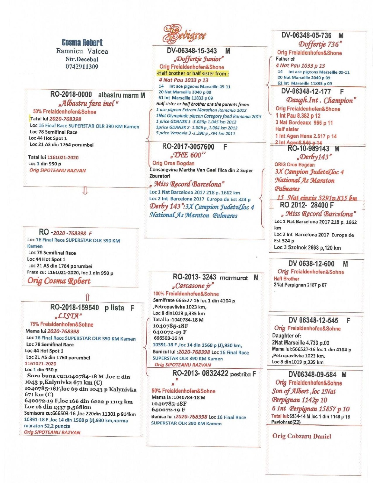 RO20-768398 DİŞİ / KENDİSİ YARIŞMIŞ  - 16. FİNAL 390 KM  - 21. AS G&Uuml;VERCİN 