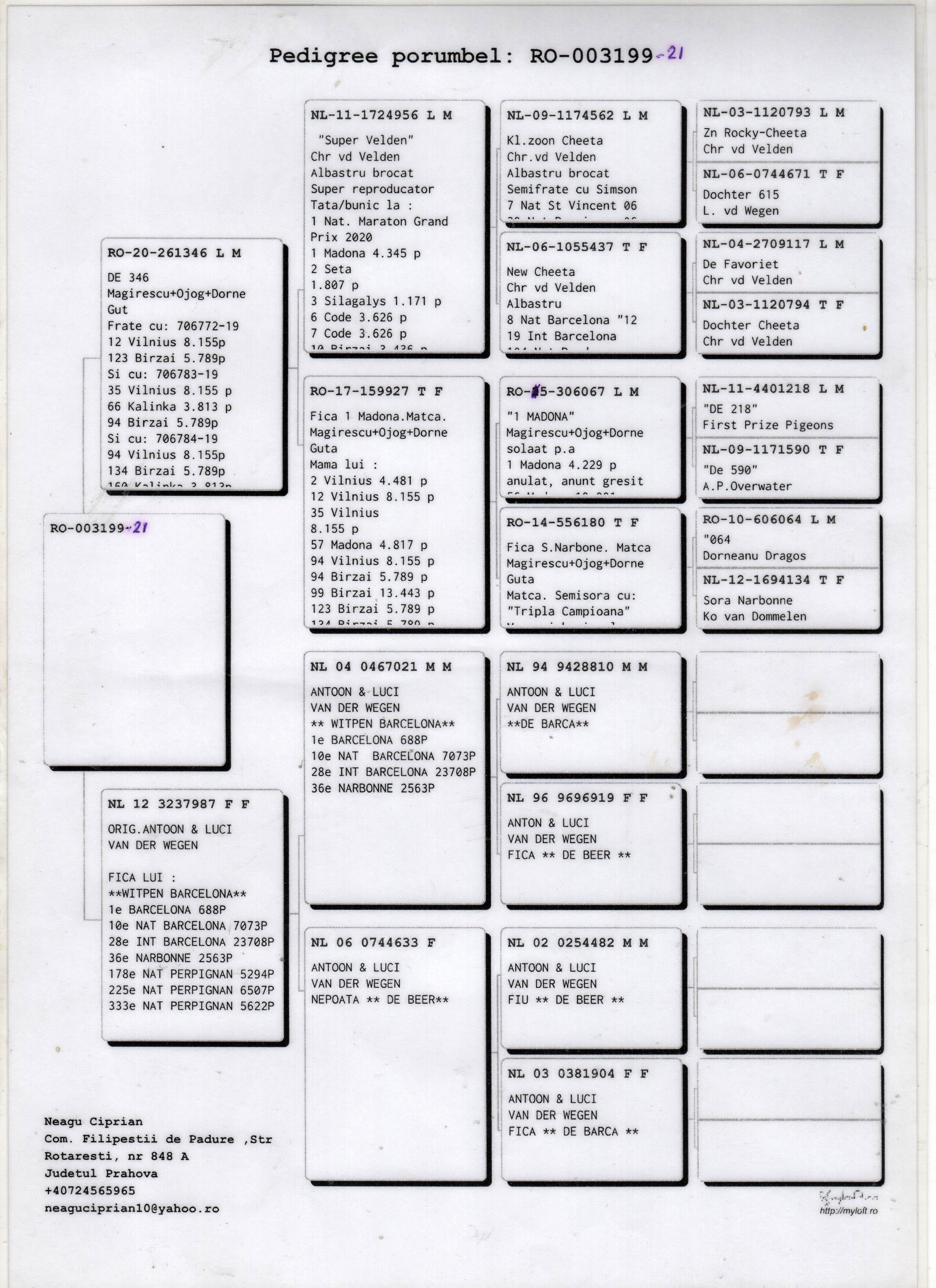 RO21-003199 ERKEK / VAN DER WEGEN - MARATON