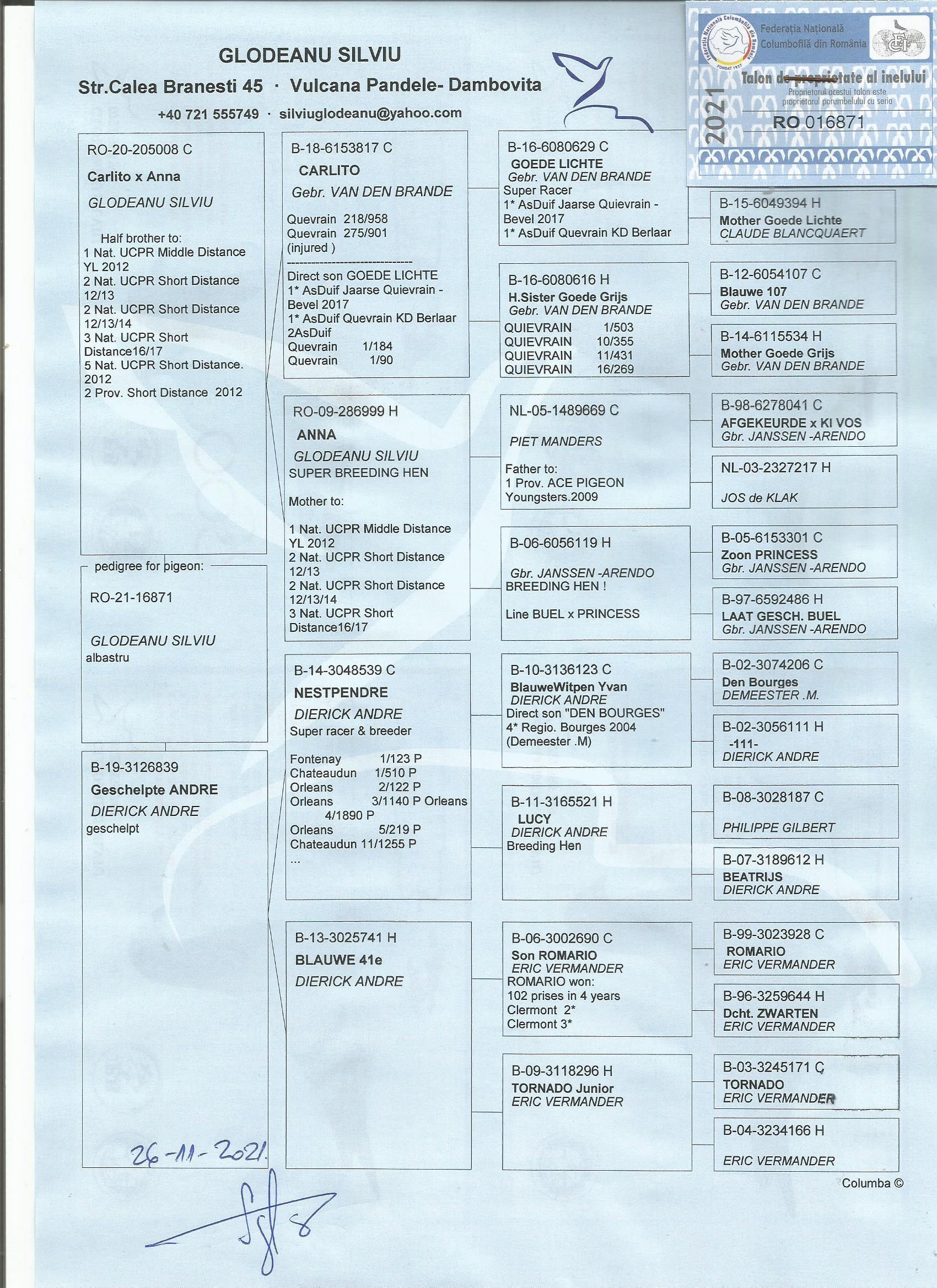 RO21-016871 ERKEK / BABASININ YARIM KARDEŞİ   1.  NAT.  UCPR MIDDLE DISTANCE 