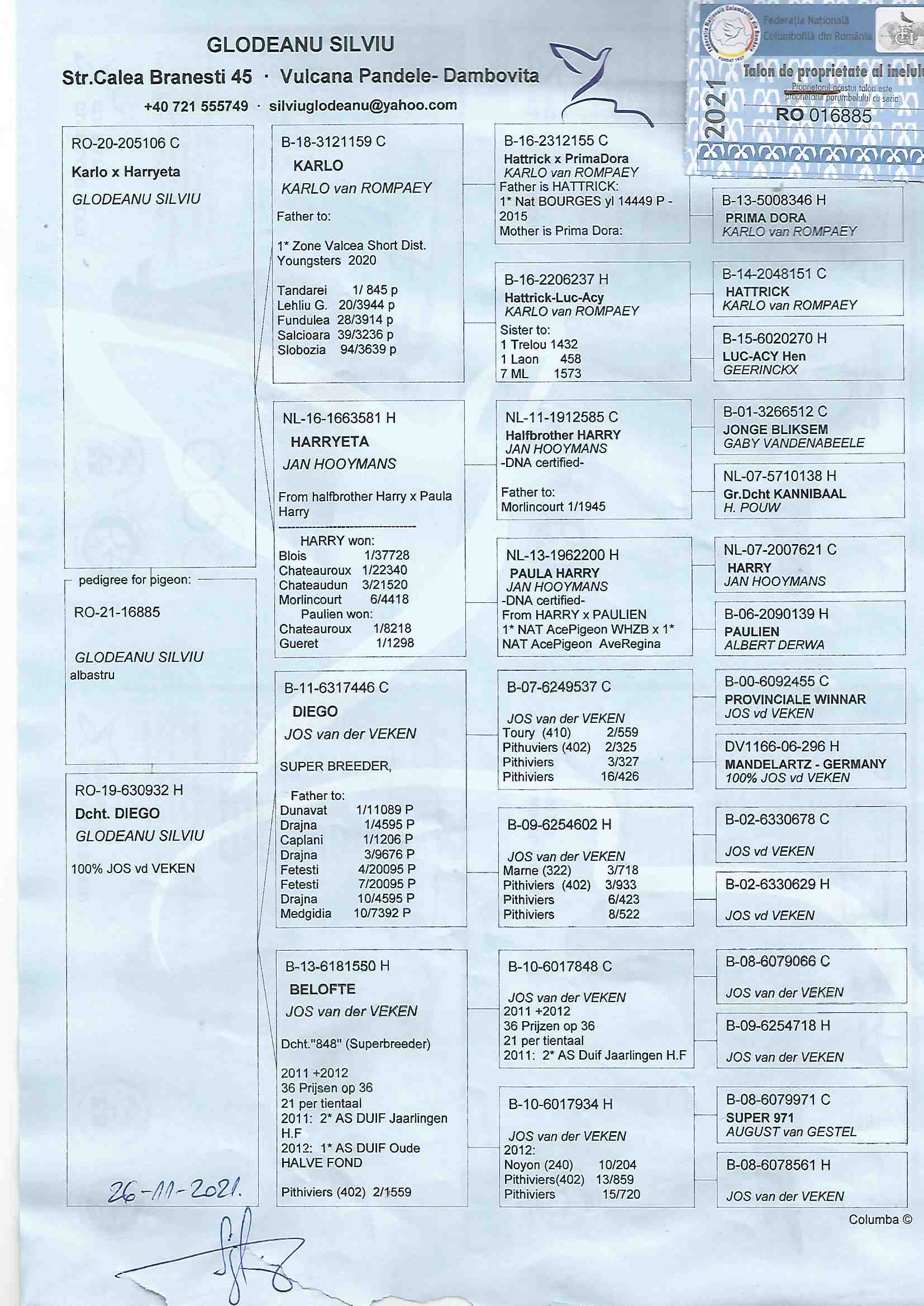 RO21-016885 DİŞİ / BABASI JAN HOOYMANS - KARLO VAN ROMPAEY