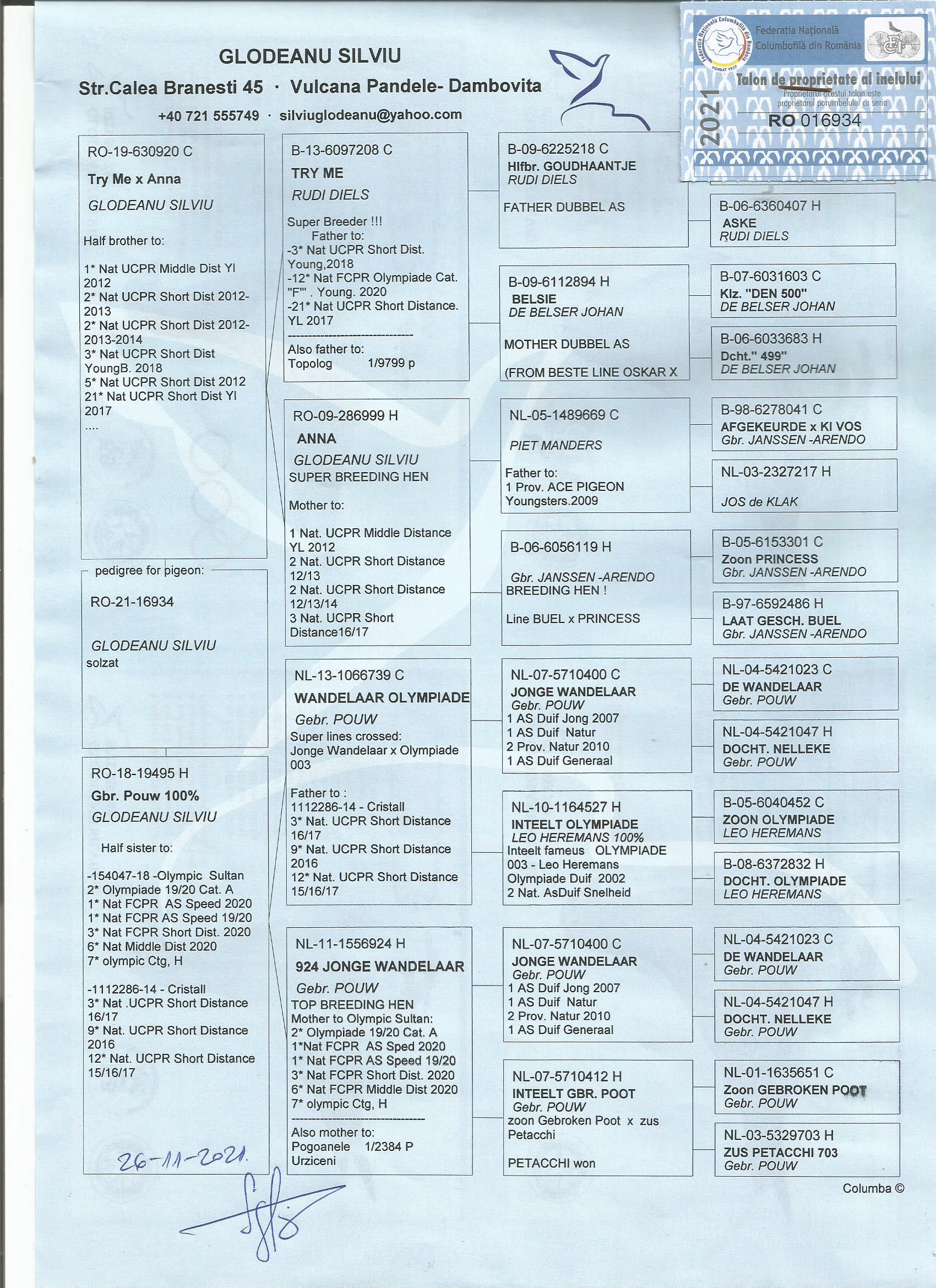 RO21-016934 DİŞİ /  BABASININ YARI KARDEŞİ  1. NAT UCPR MIDDLE DISTANCE  YL 2012