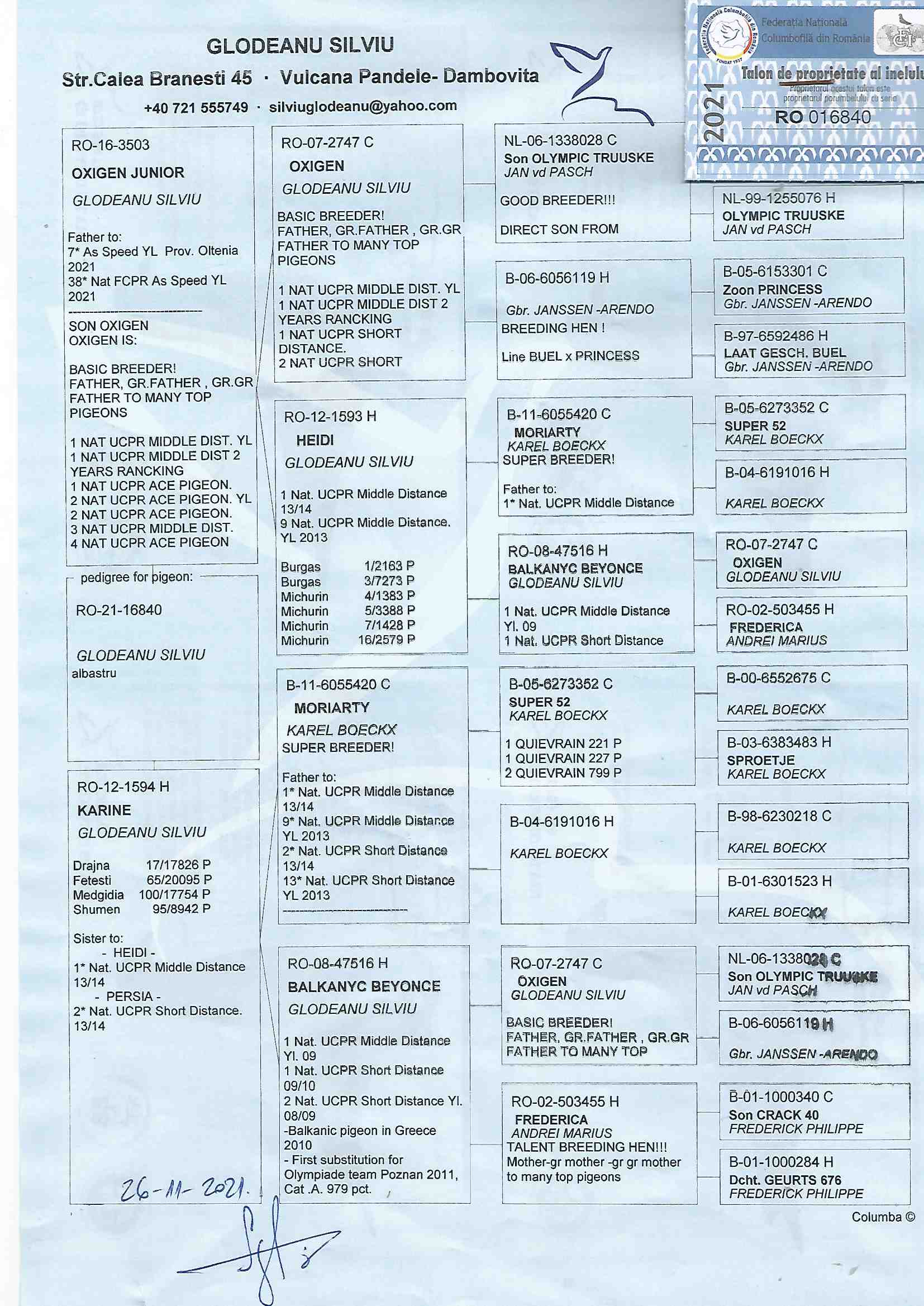 RO21-16840 DİŞİ /  BABASI OXIGEN JUNIOR - INBREED OXIGEN 