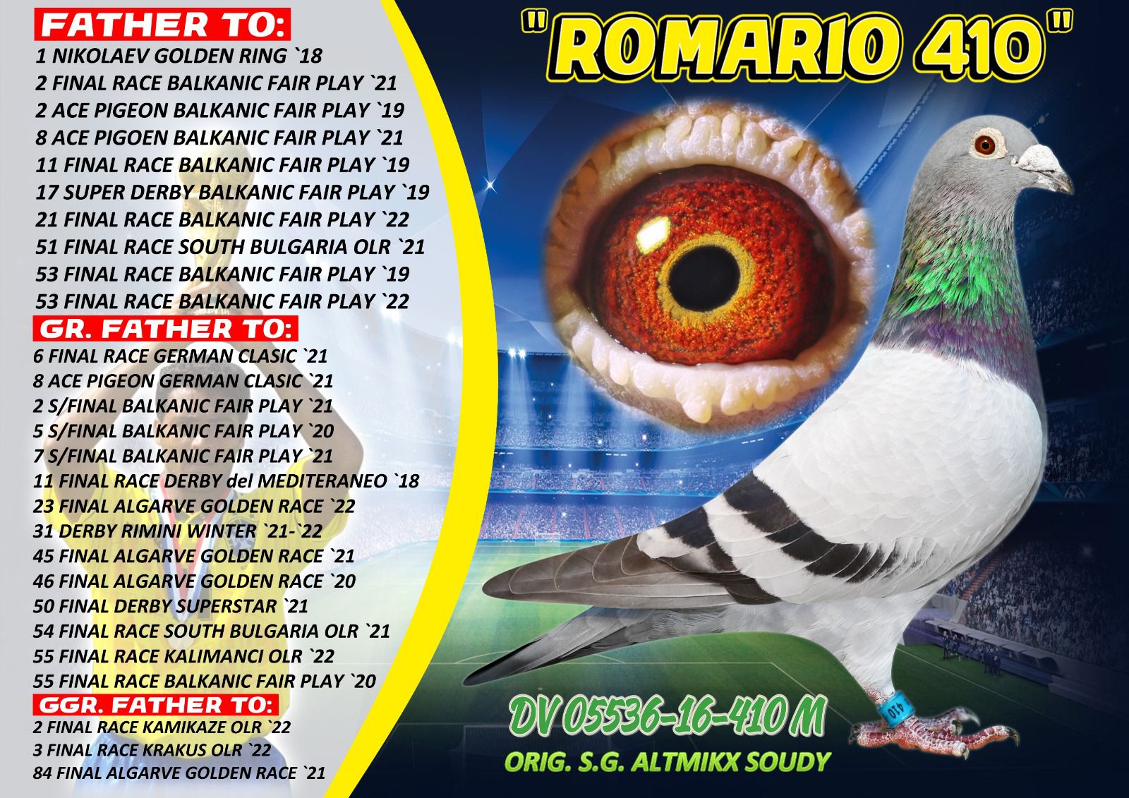 RO21-254314 ERKEK / ANNESİNİN DEDEİ ROMARIO 410 !!'