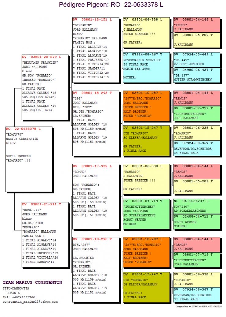 RO22-0633378 ERKEK / INBREED ROMARIO