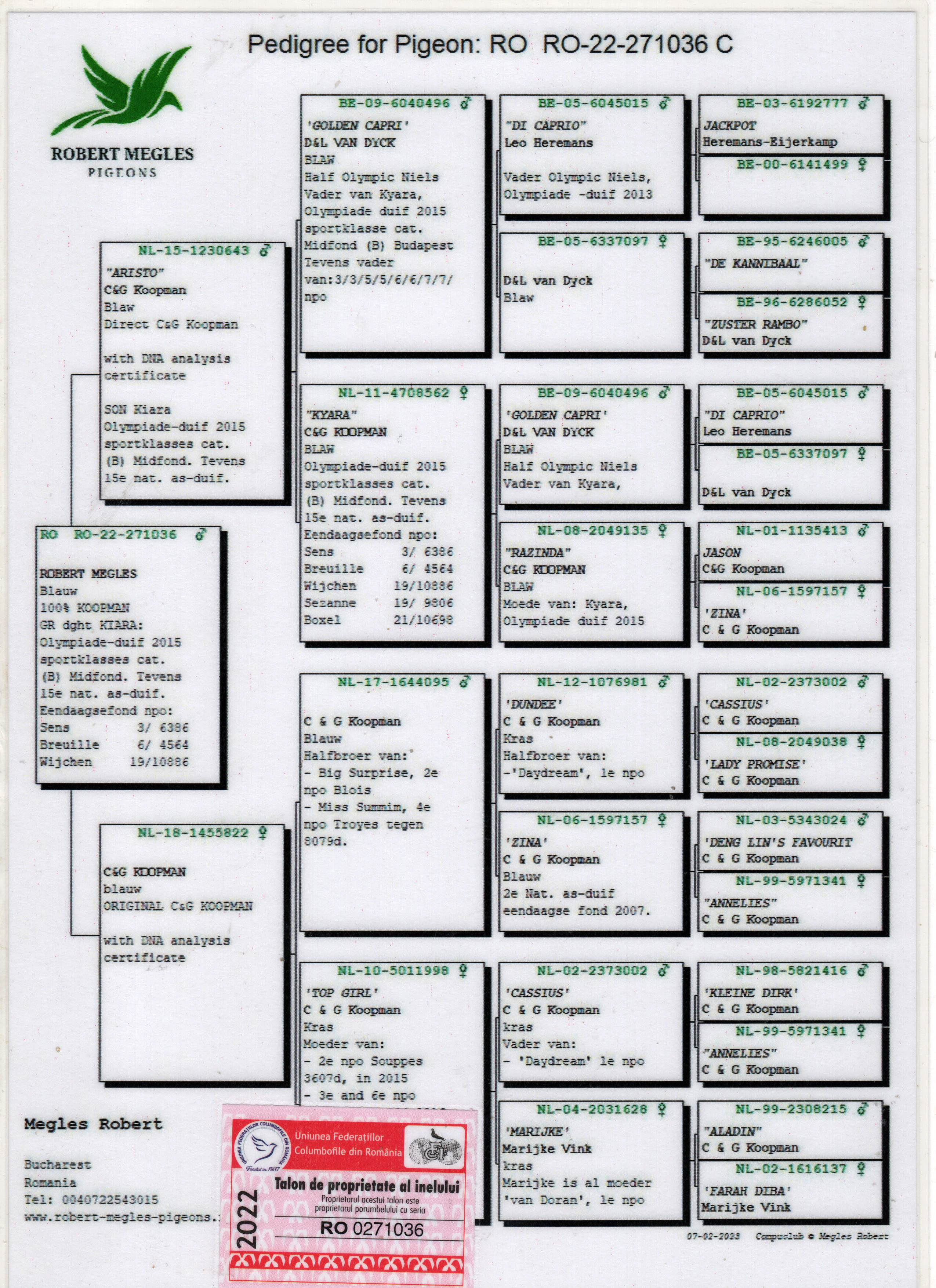 RO22-271036 ERKEK / KOOPMAN % 100 DNA SERTİFİKALI