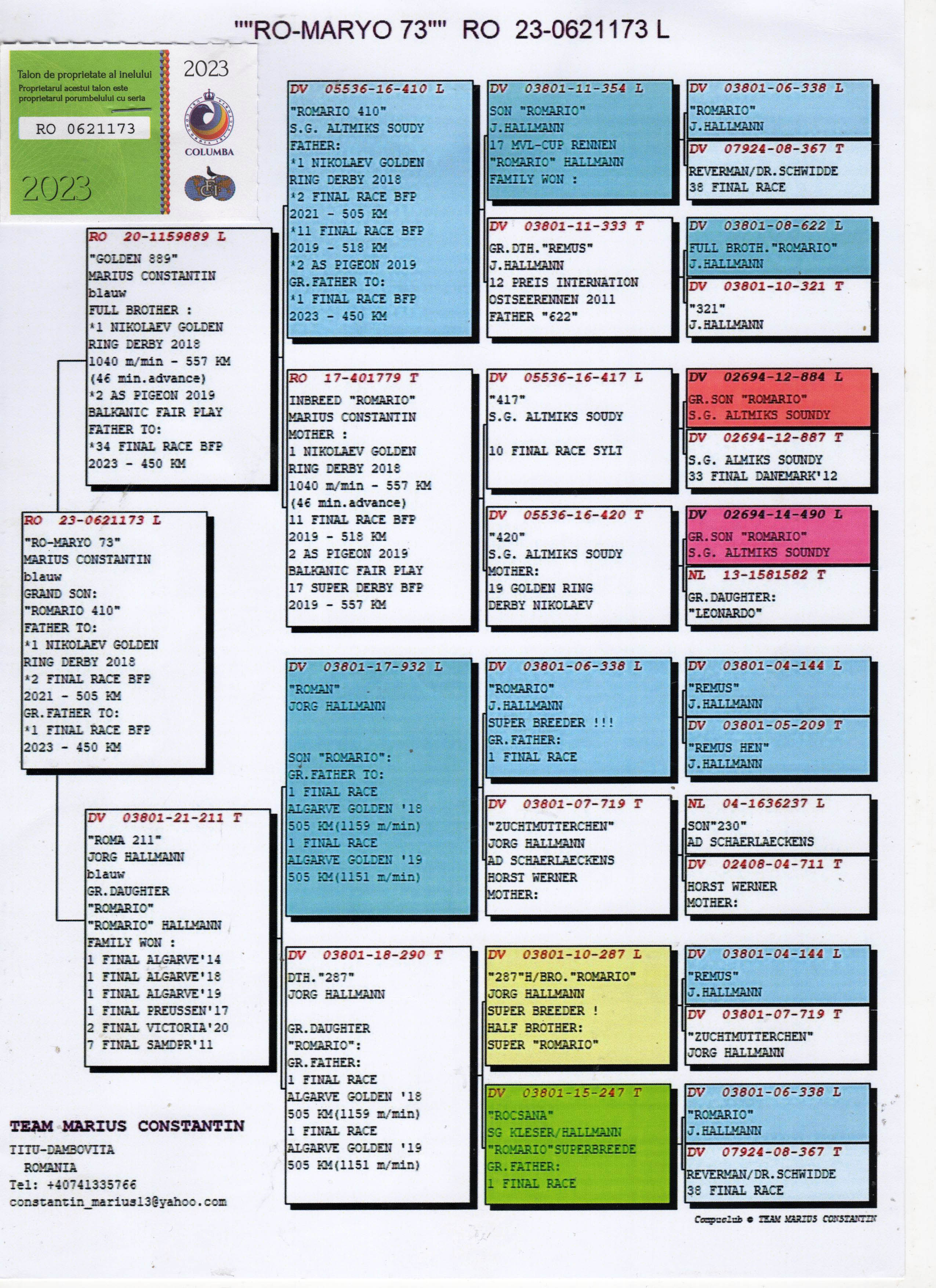 RO23-0621173 ERKEK / MARUIS CONSTANTIN - BABASI 410 TORUNU ANNESİ HALLMANN