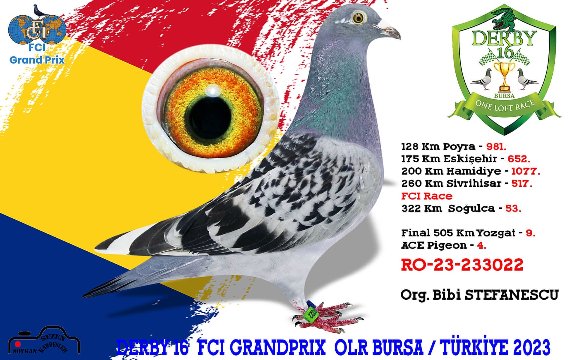 RO23-233079 ERKEK / KENDİSİ ALGARVE YARIŞMIŞ - KARDEŞİ 9 FİNAL DERBY16 AS 4