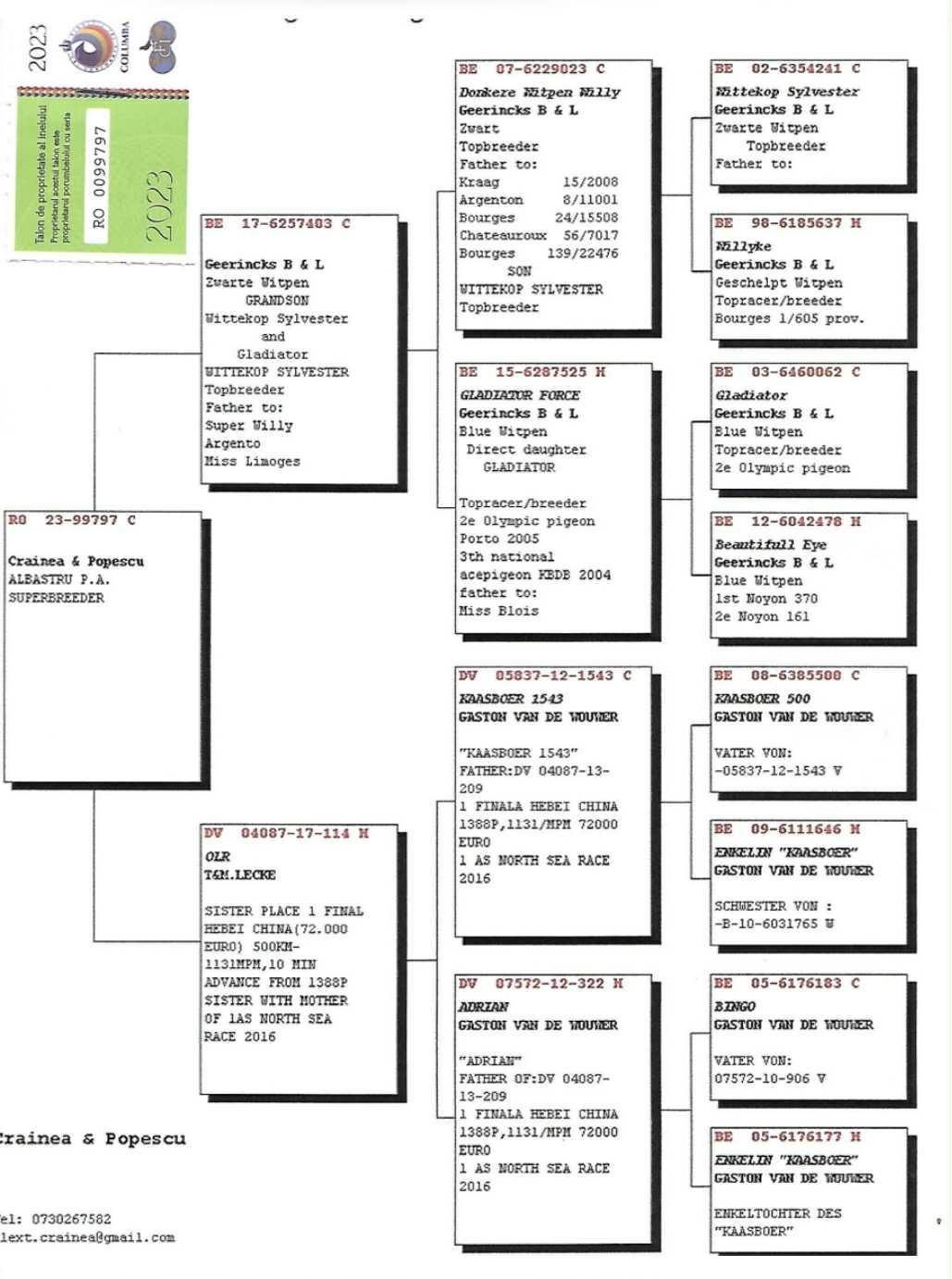 RO23-99797 ERKEK / GEERINCKX - GASTON  ANNESİNİN KARDEŞİ 1 FİNAL 500 KM