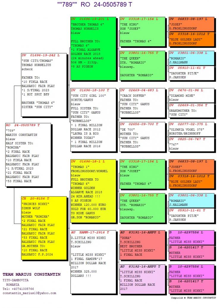RO24-0505789 ERKEK / MARİUS CONSTANTIN - ANNEDEN KARDEŞİ ROMINA 