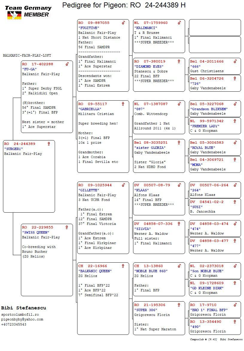 RO24-244389 DİŞİ /BIBI STEFANESCU -  BABADAN KARDEŞİ 1 SUPERDERBY 2 HALKIDIKI 