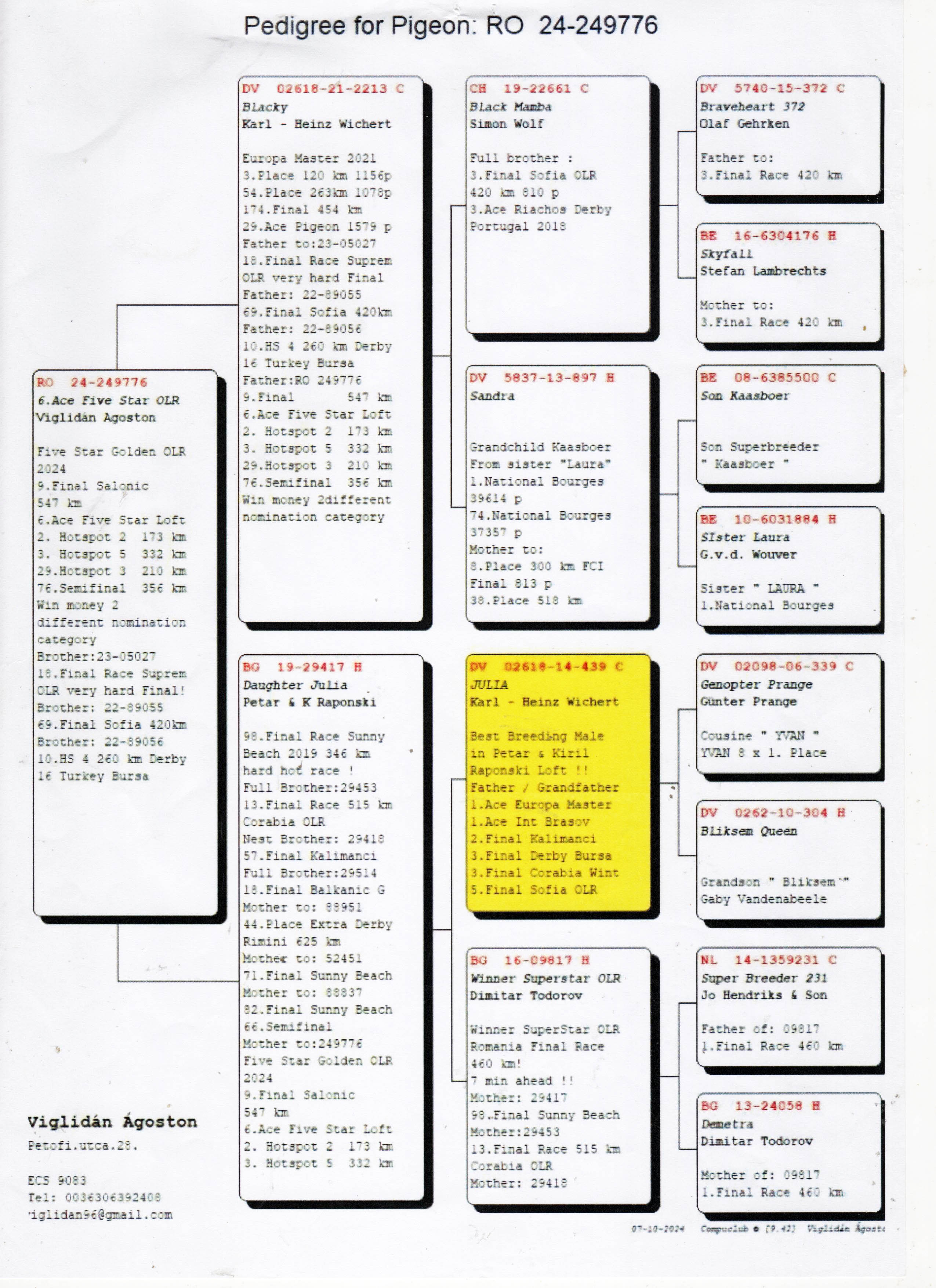 RO24-249776 ERKEK / JULIA TORUNU KENDİSİ YARIŞMIŞ 6 ACE PIGEIN FİVE STAR 