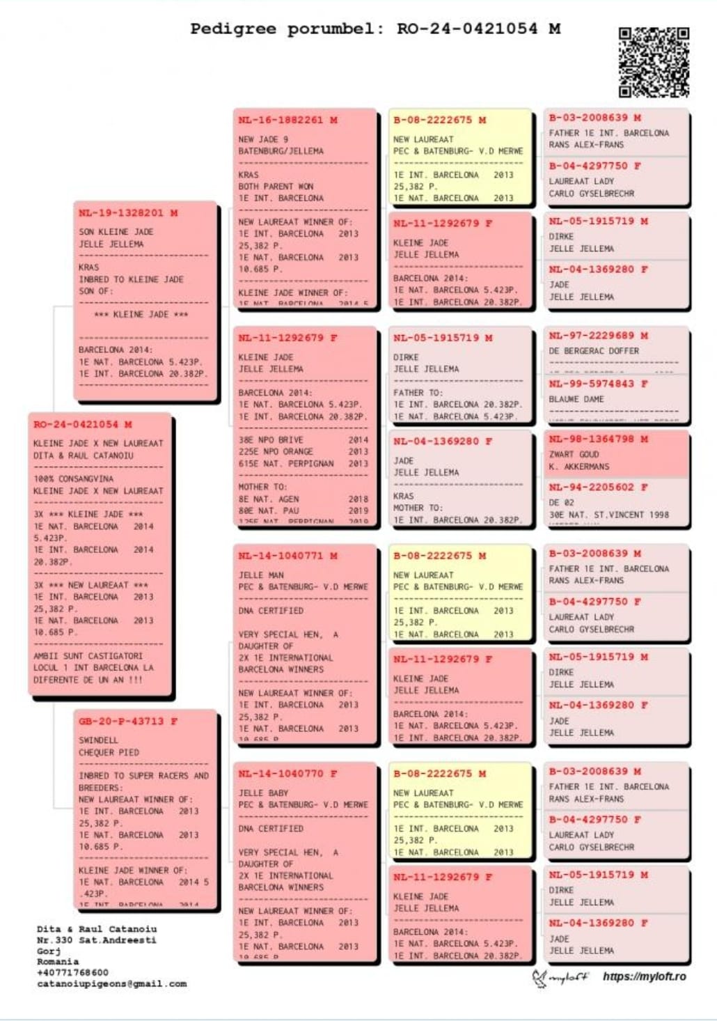 RO24-421054 ERKEK / INBREED NEW LAUREAAT  KLEINE JADE  - MARATON