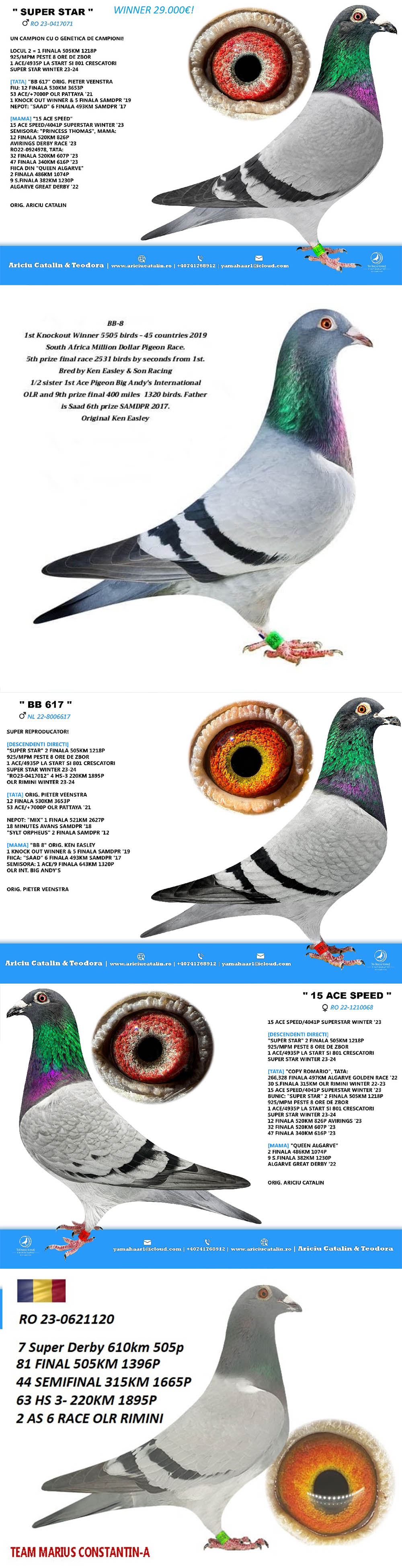 RO25-0280287 ERKEK / INBREED SUPER STAR