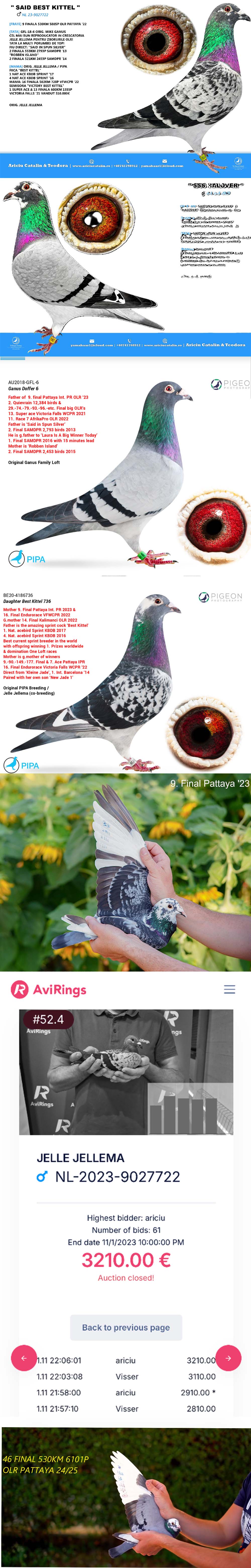 RO25-0280289 ERKEK / AFRICAN  - INBREED SAID IN SPUN SILVER