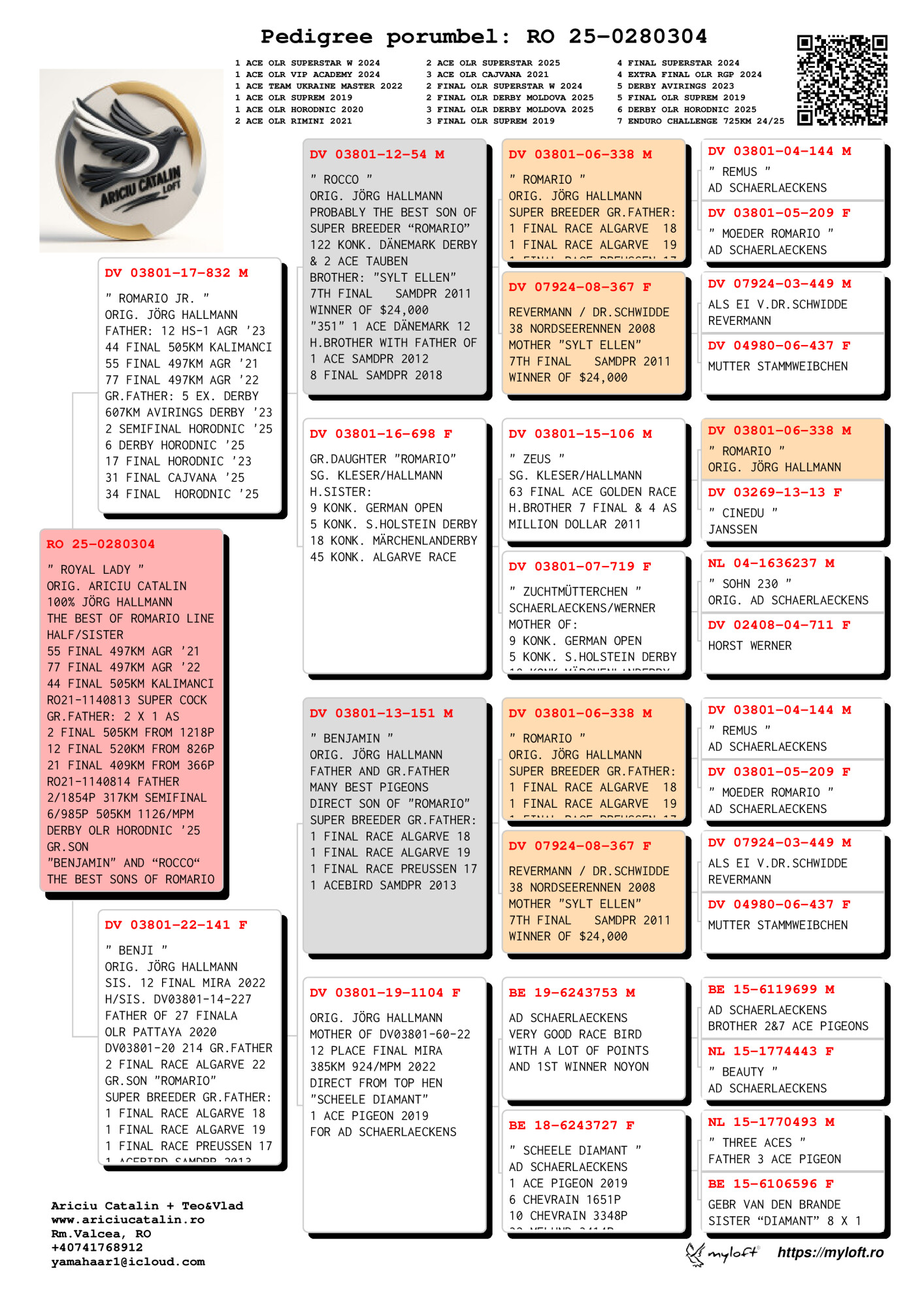RO25-0280304 DİŞİ / ROYAL LADY  - JORG HALLMANN % 100