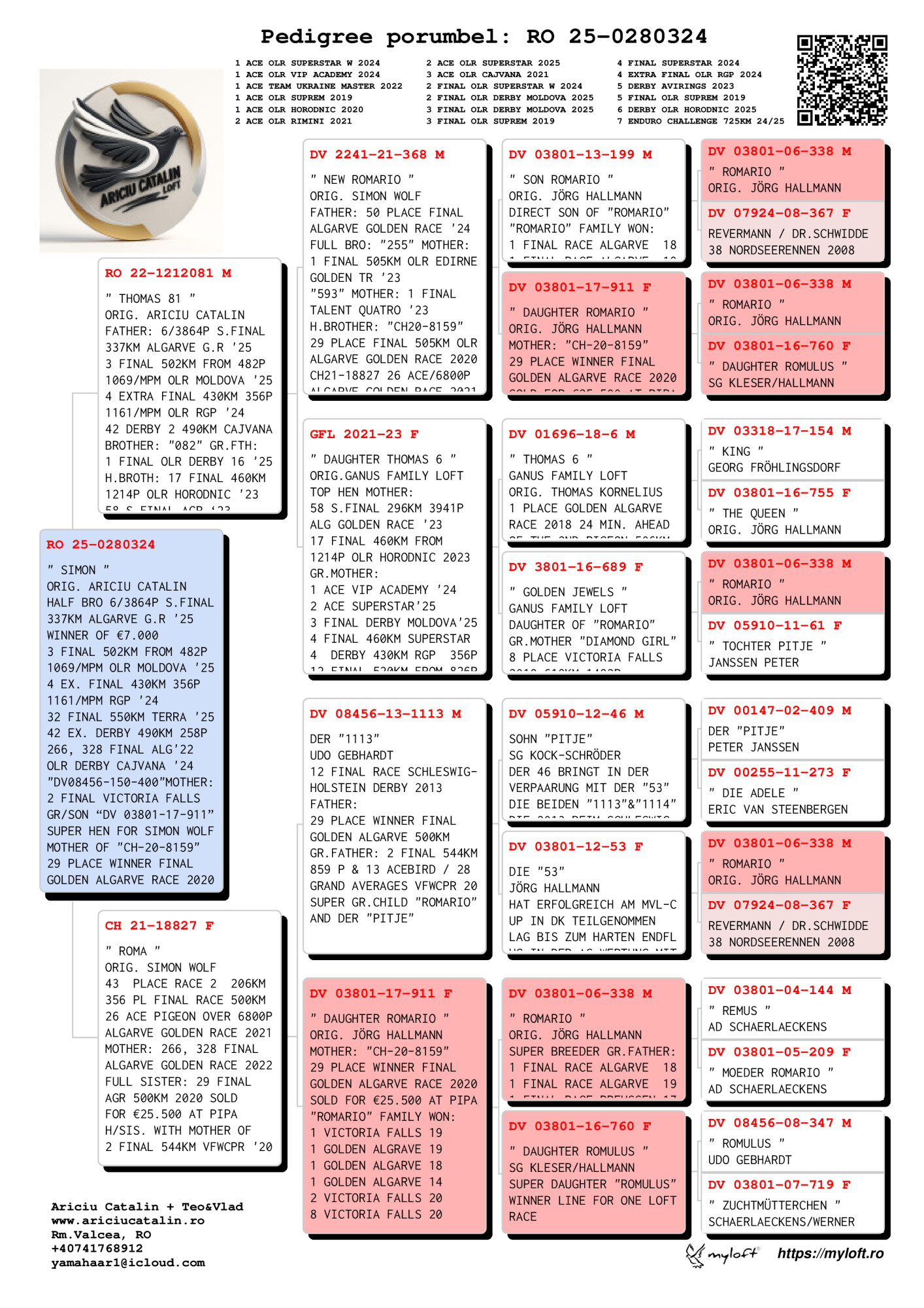 RO25-0280324 ERKEK / SIMON 