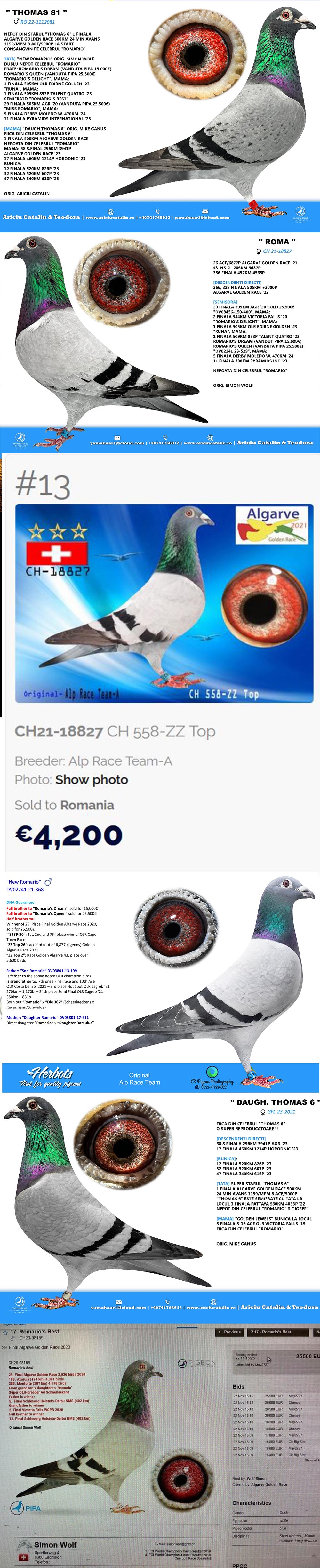 RO25-0280324 ERKEK / SIMON 