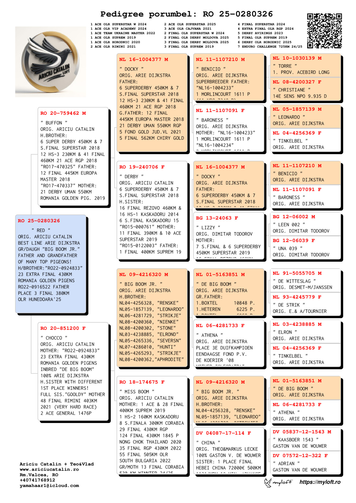 RO25-0280326 ERKEK / RED  - BOG BOOM JR TORUNU
