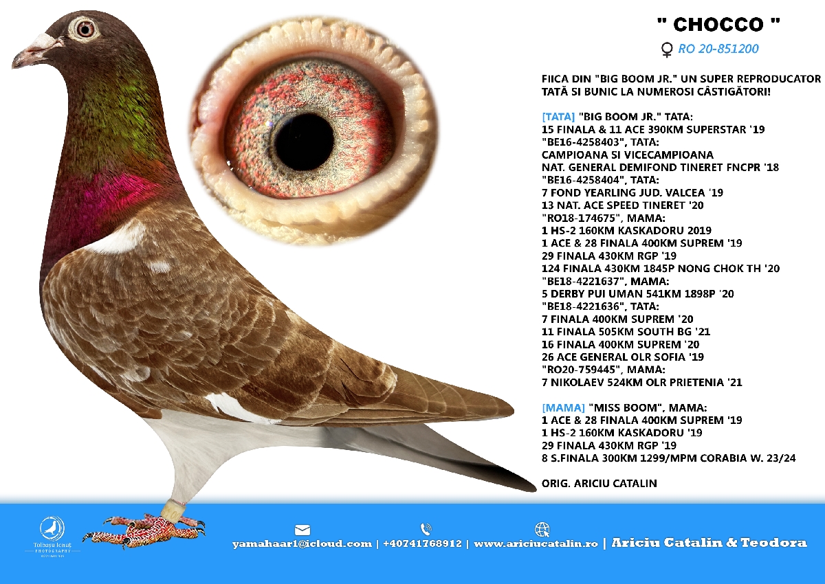 RO25-0280326 ERKEK / RED  - BOG BOOM JR TORUNU