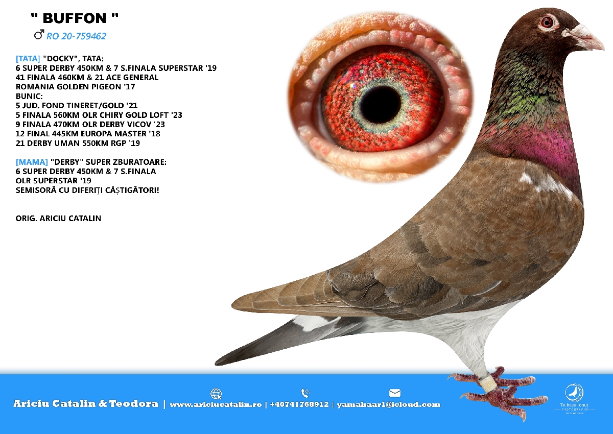 RO25-0280326 ERKEK / RED  - BOG BOOM JR TORUNU