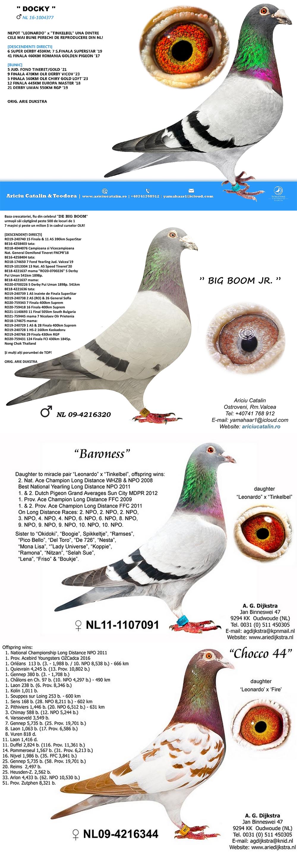 RO25-0280326 ERKEK / RED  - BOG BOOM JR TORUNU