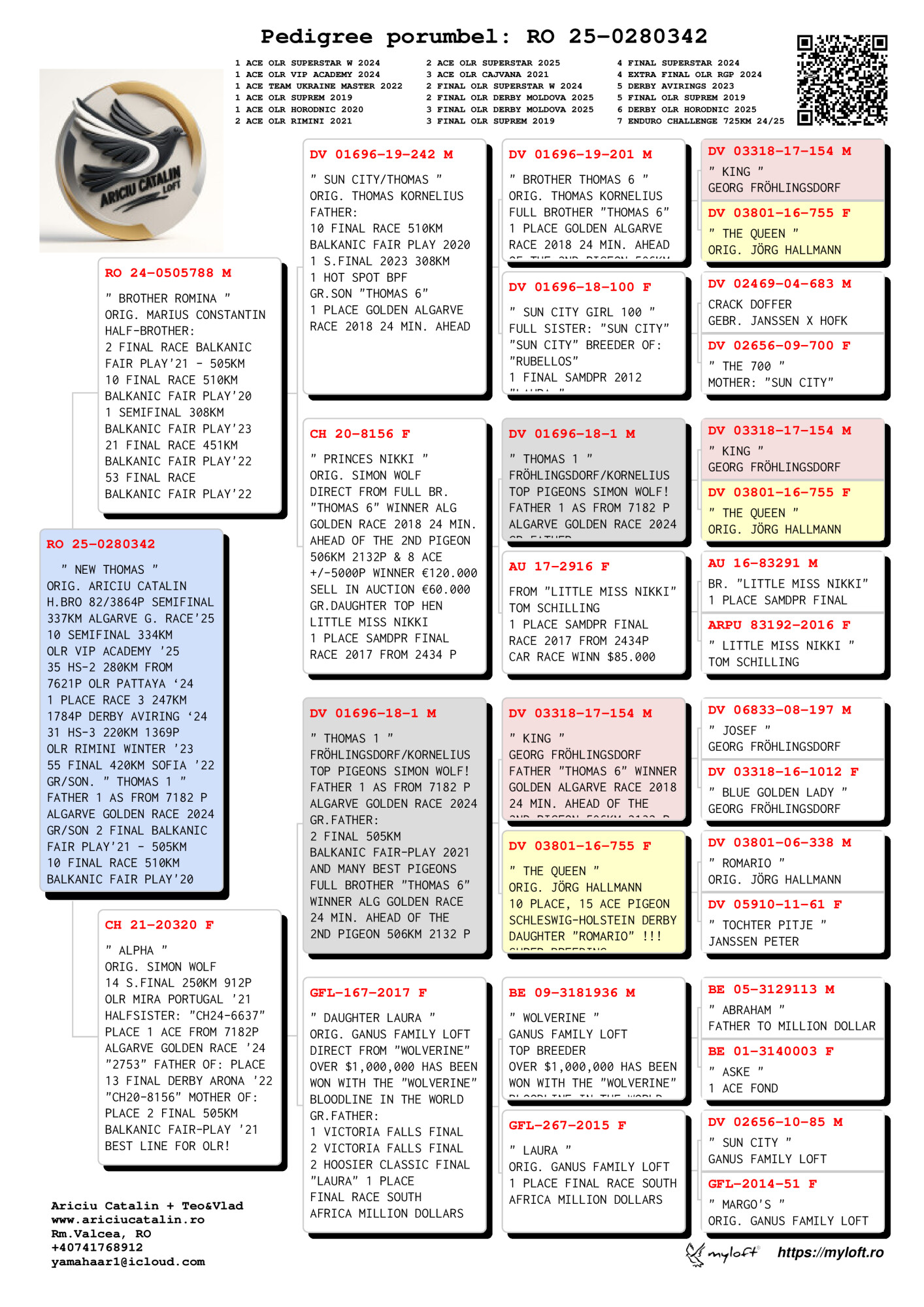 RO25-0280342 ERKEK / NEW THOMAS 