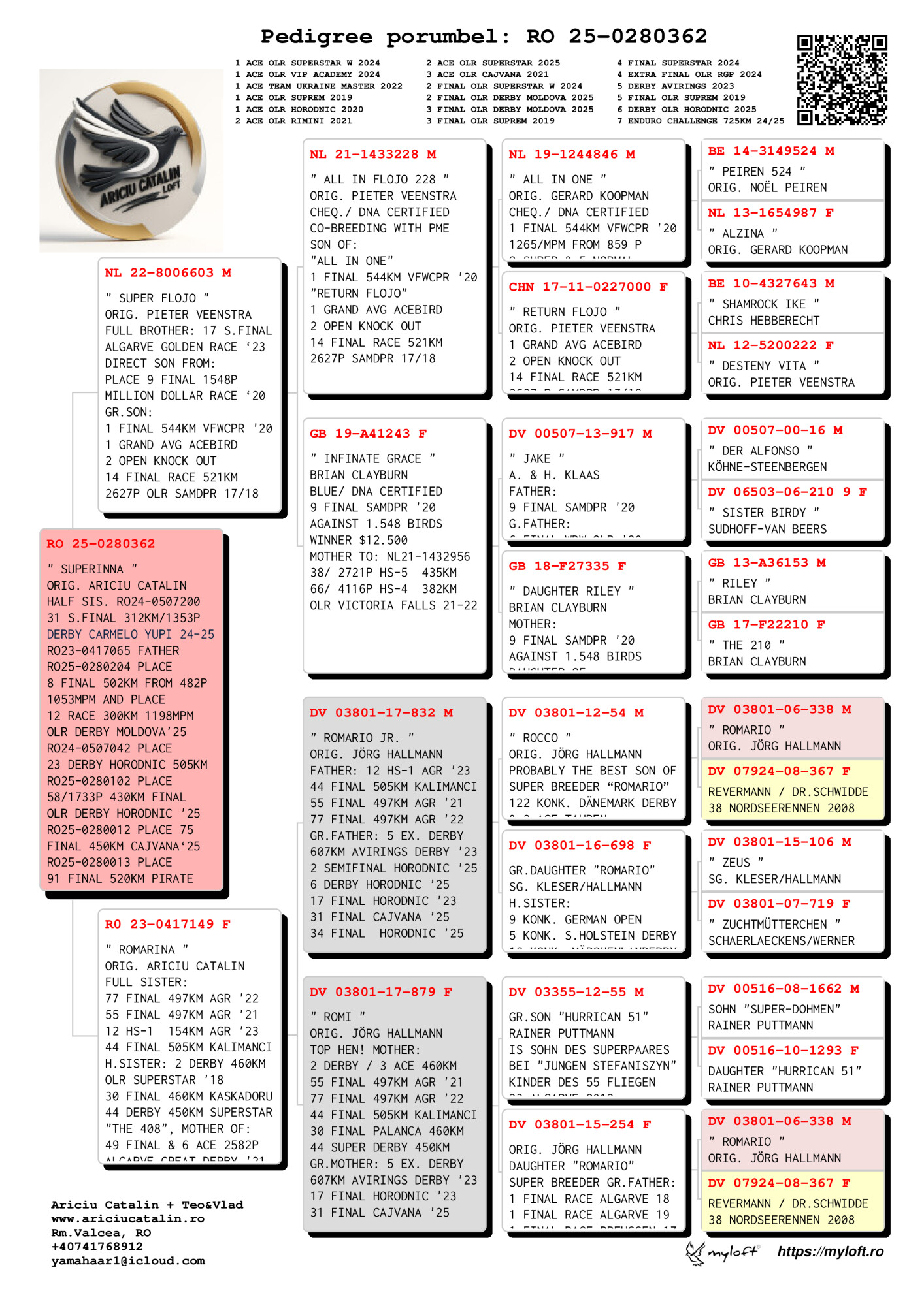 RO25-0280362 DİŞİ / ANNESİNİN KARDEŞİ 77 FİNAL ALGARVE - 55 FİNAL ALGARVE