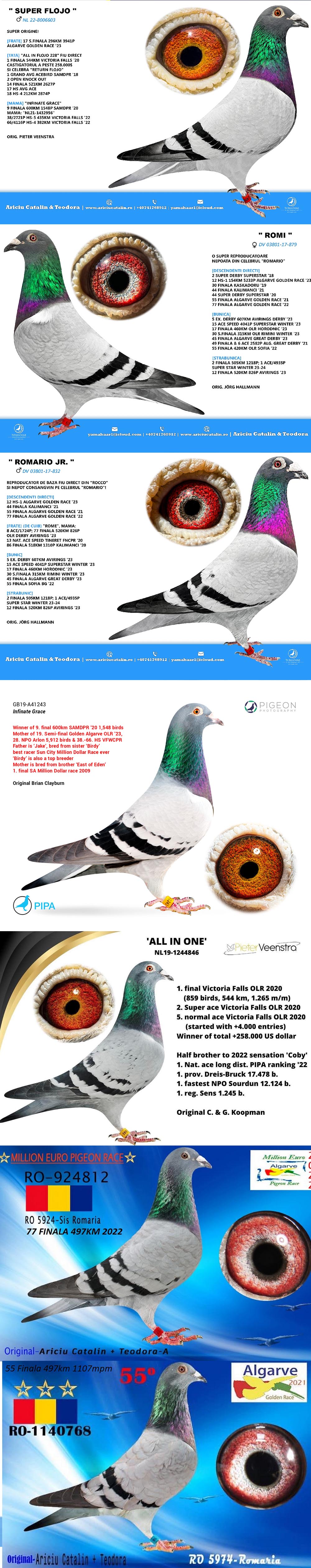 RO25-0280362 DİŞİ / ANNESİNİN KARDEŞİ 77 FİNAL ALGARVE - 55 FİNAL ALGARVE